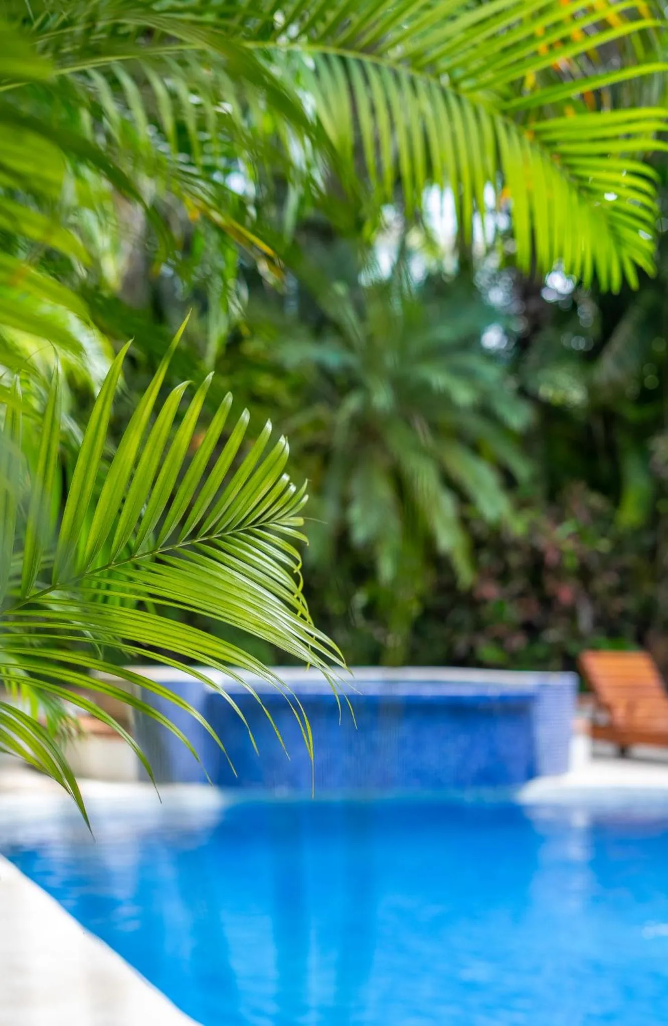 Garden in Dreamcatcher Hotel - Live the Dream of Santa Teresa