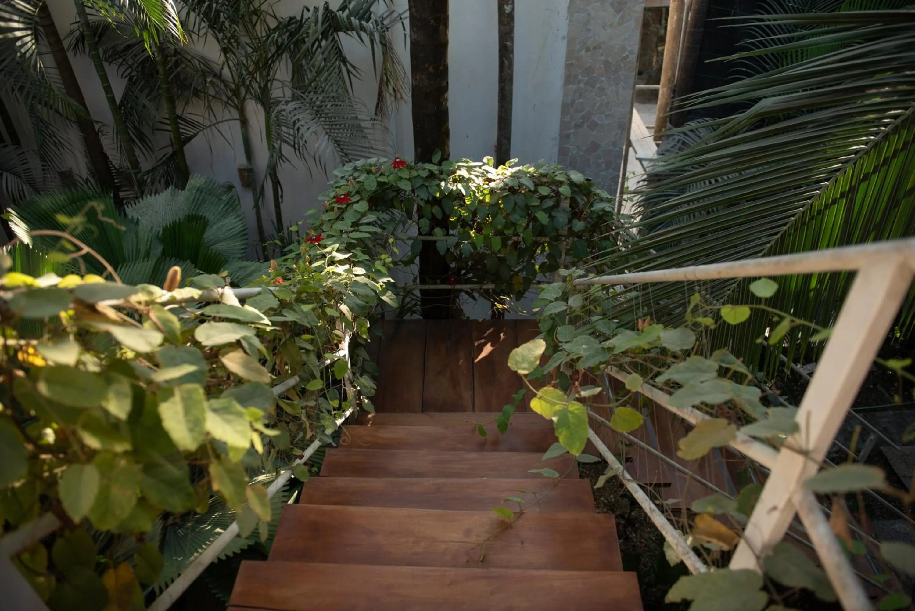 Garden in Dreamcatcher Hotel - Live the Dream of Santa Teresa