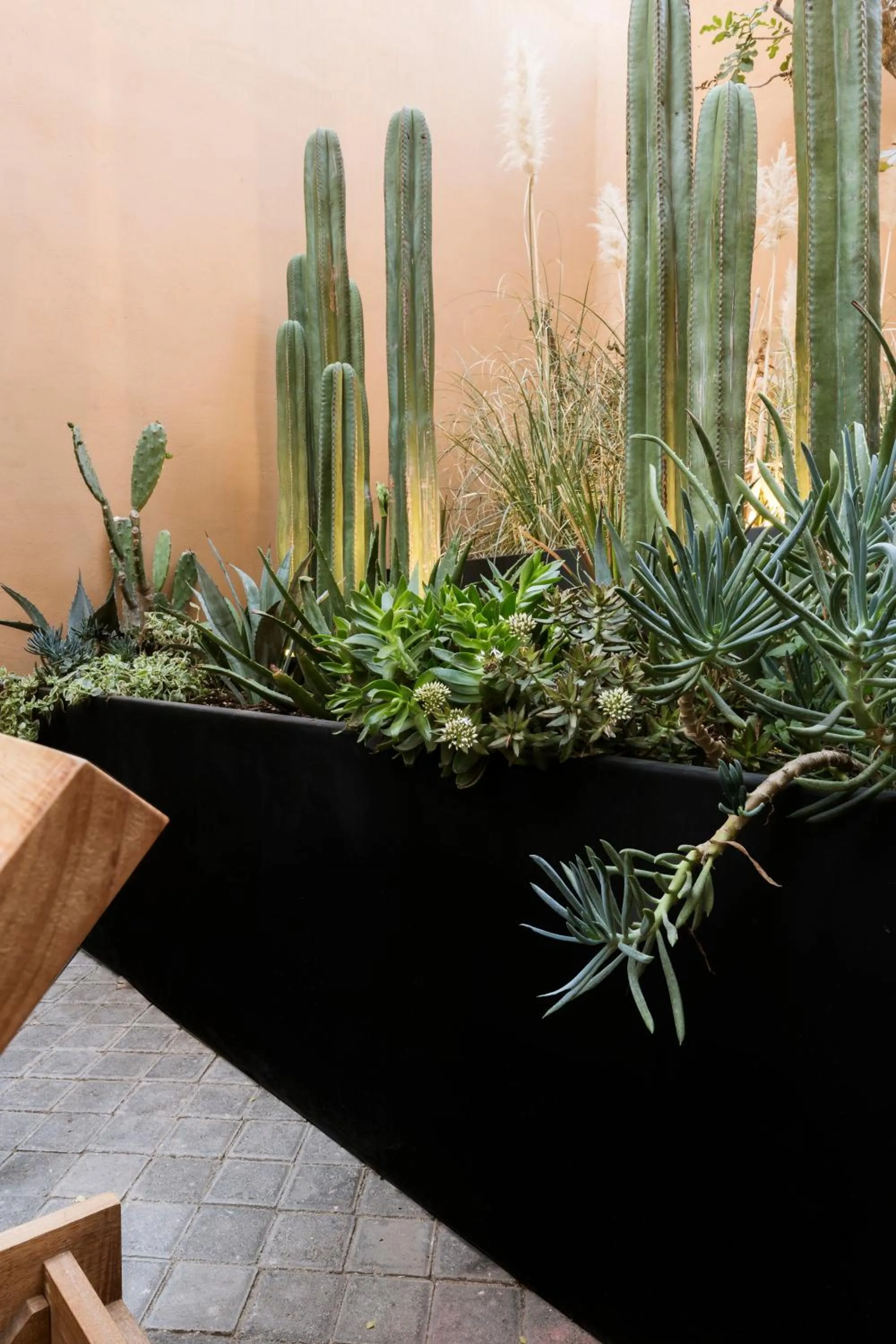 Patio in Macondo Arte Oaxaca