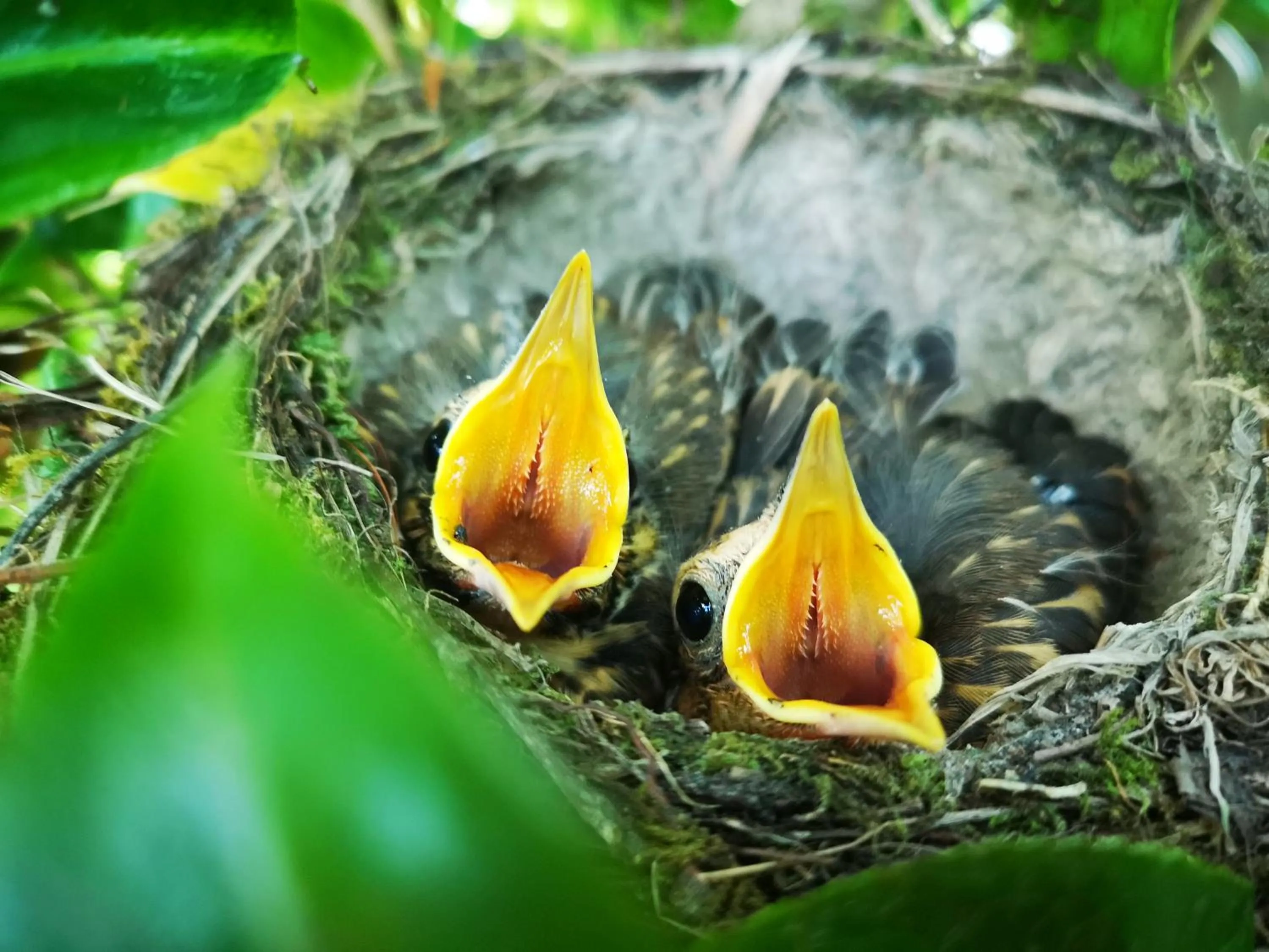 Other in Country Villa Estate