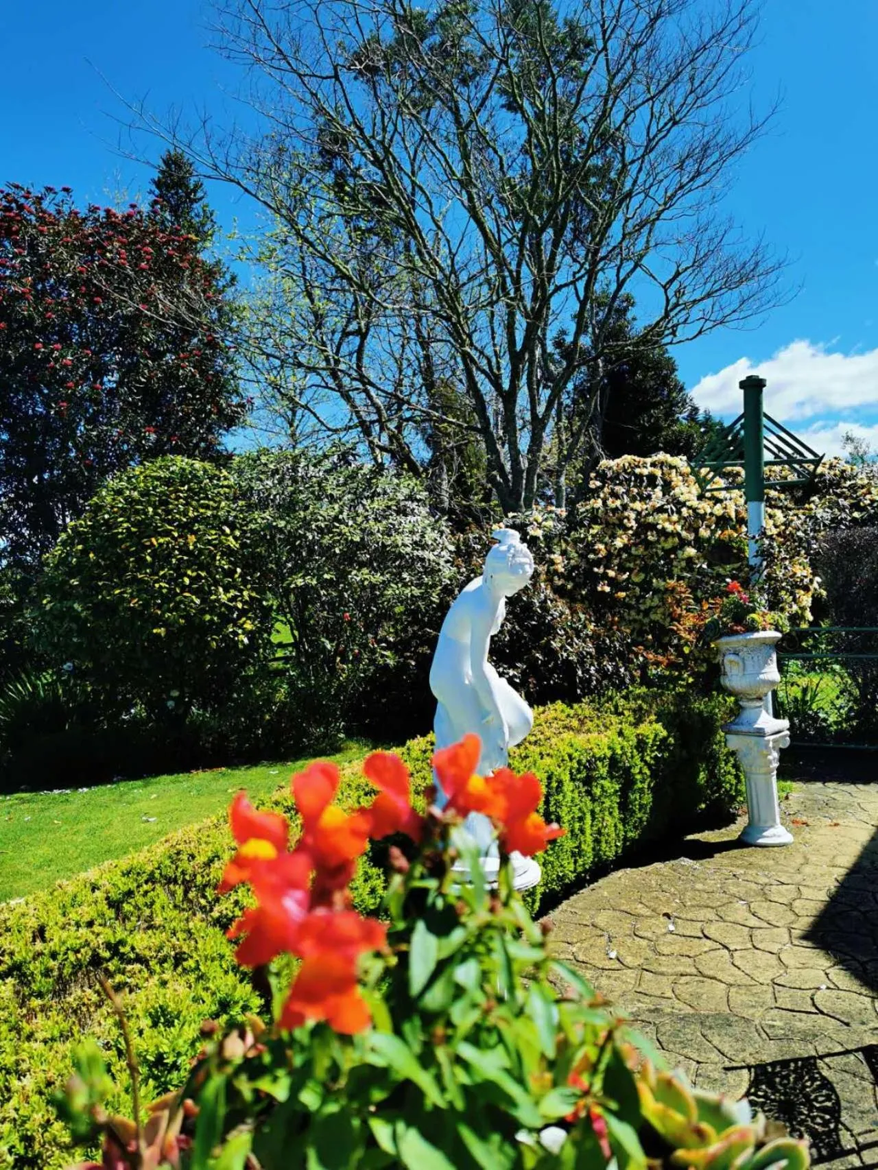 Country Villa Estate