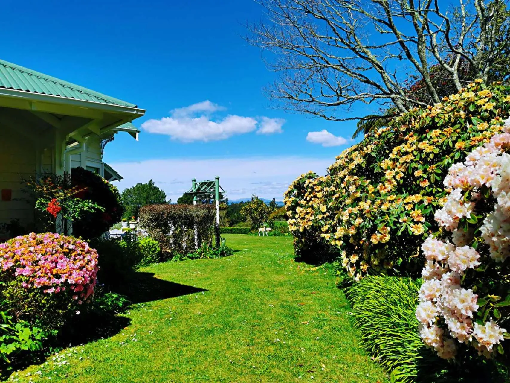 Garden in Country Villa Estate