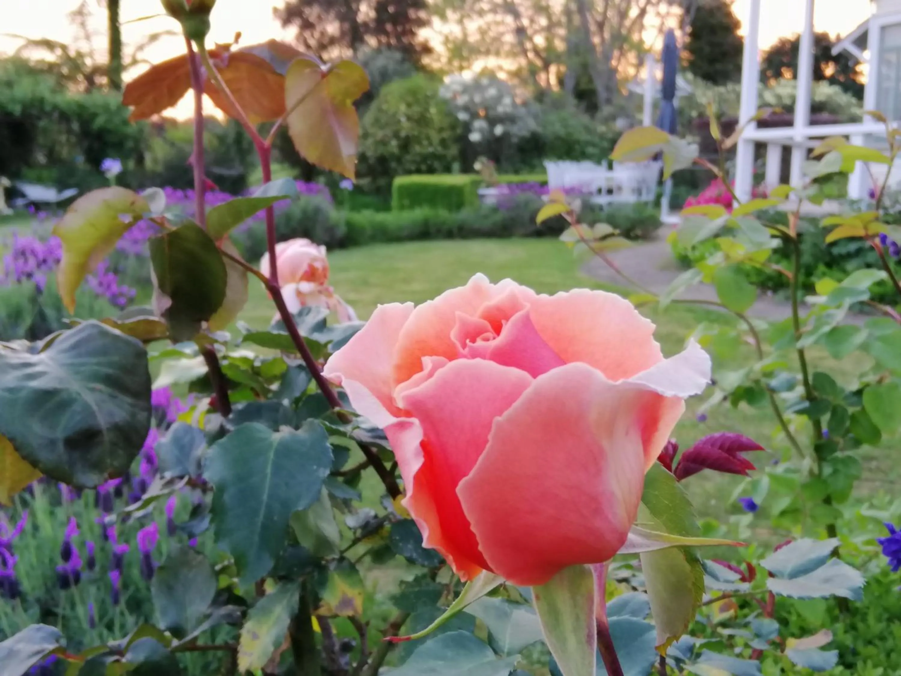 Garden in Country Villa Estate