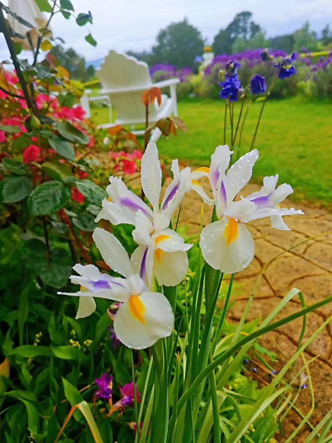 Garden view in Country Villa Estate