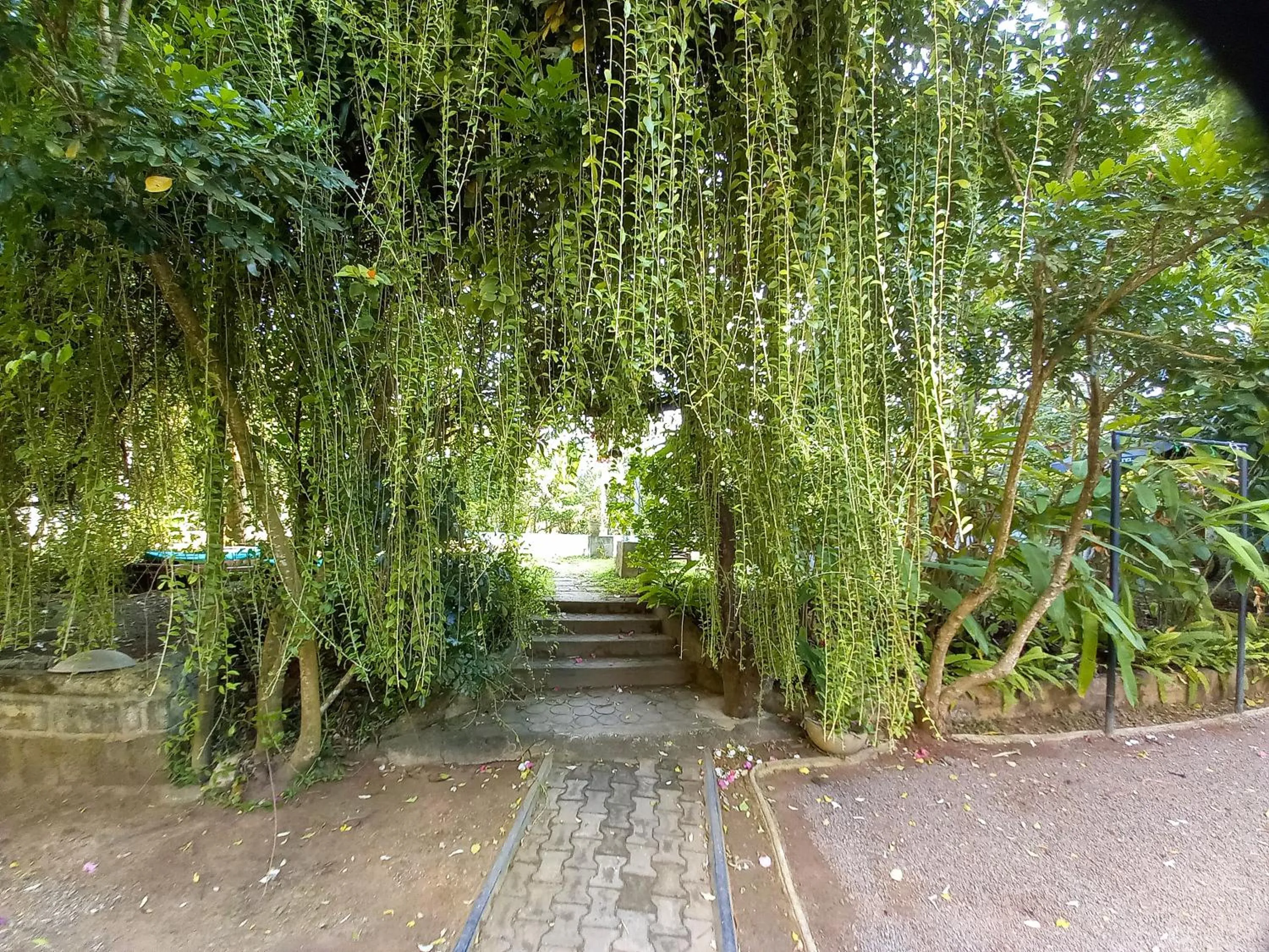 Garden in Esprit d'Ici Hotel