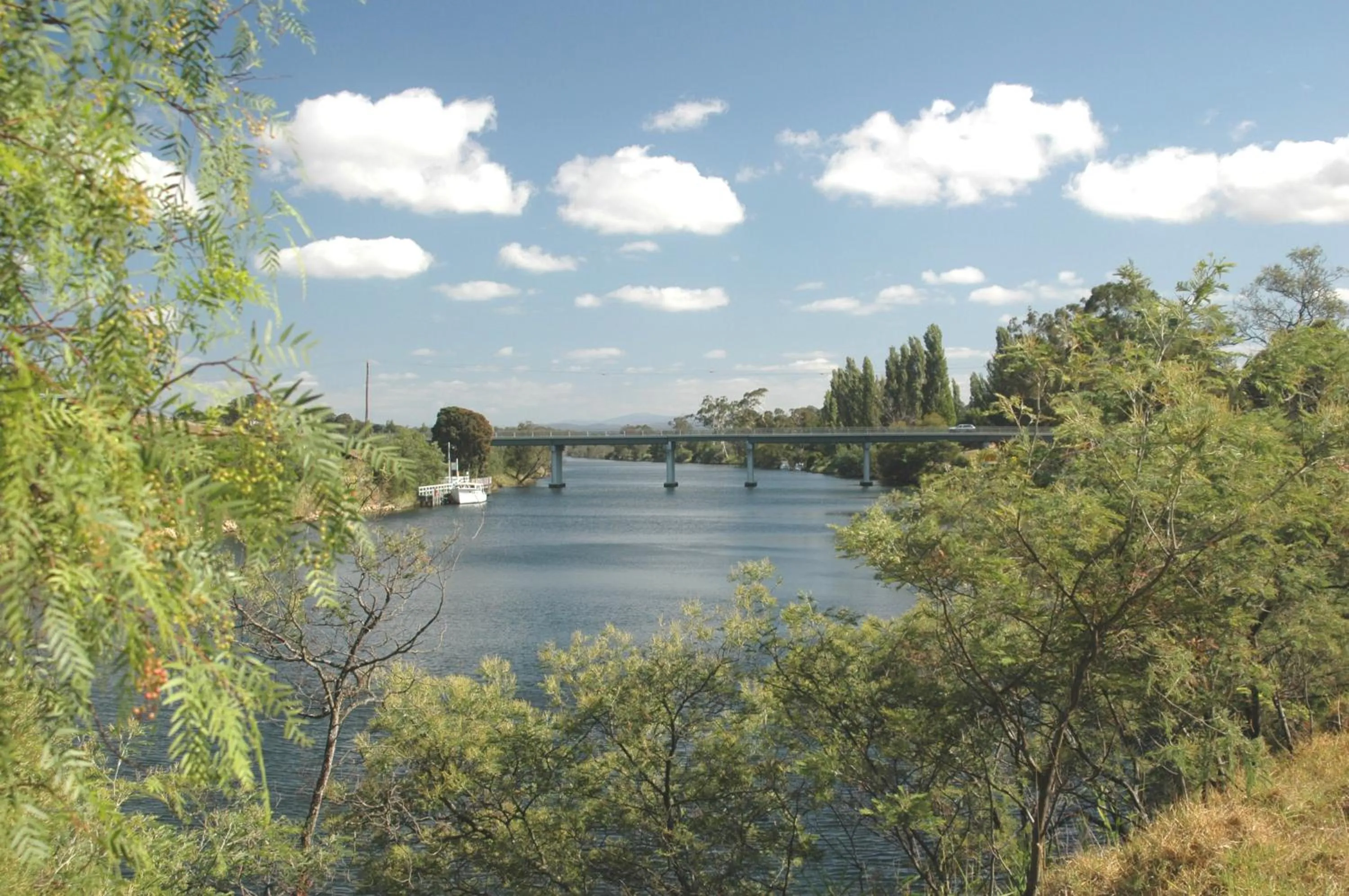 Natural landscape in Waverley House Cottages
