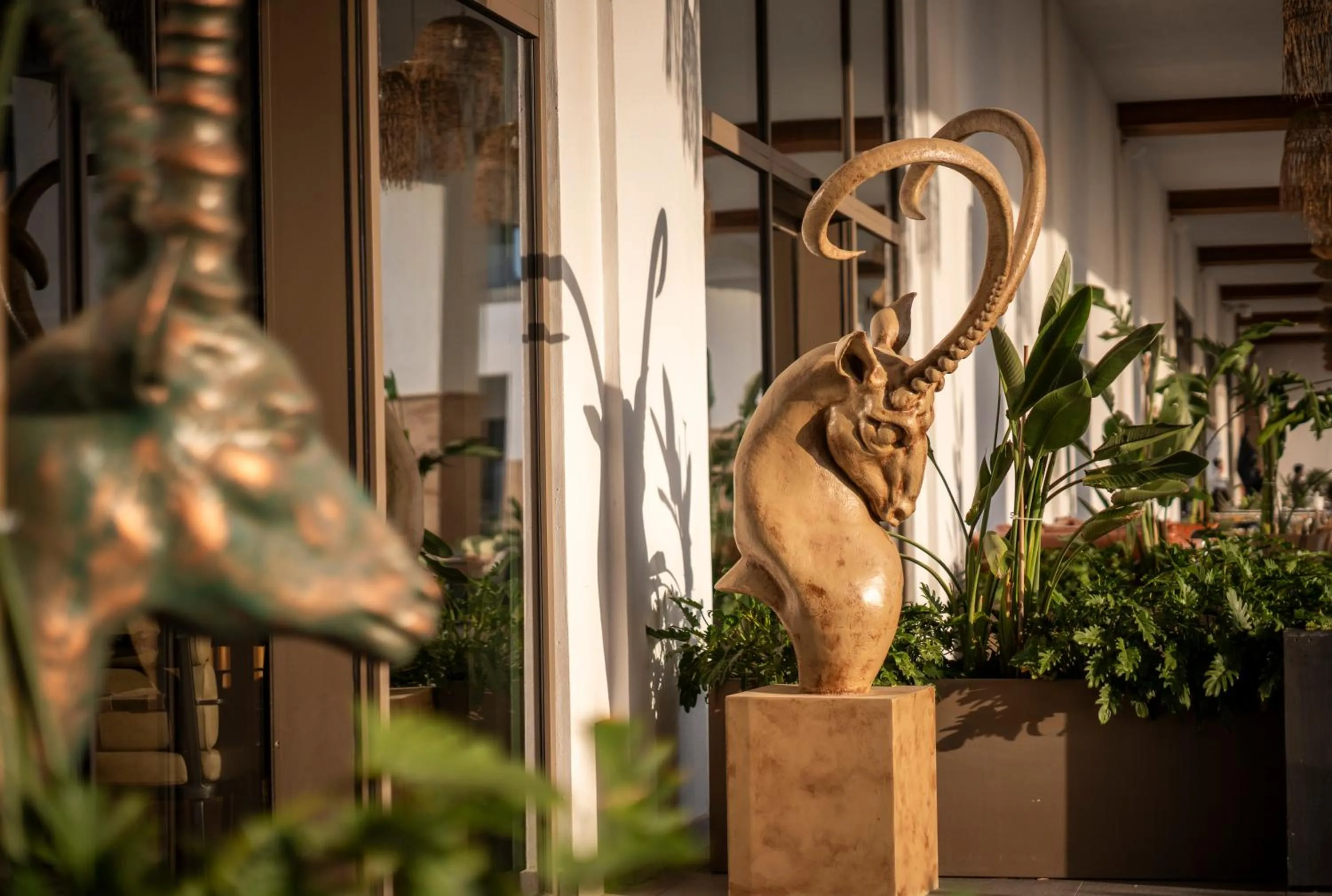 Restaurant/places to eat in Ethno Belek