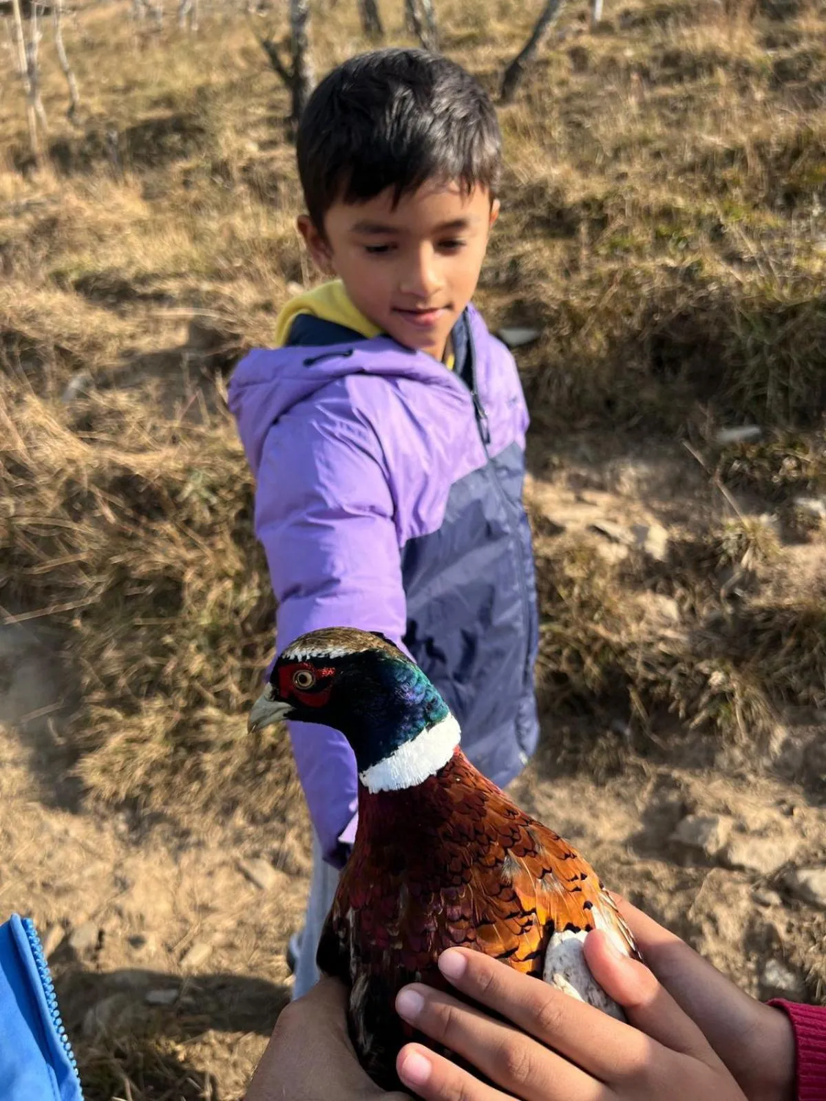 Naya Gaun Eco Resort