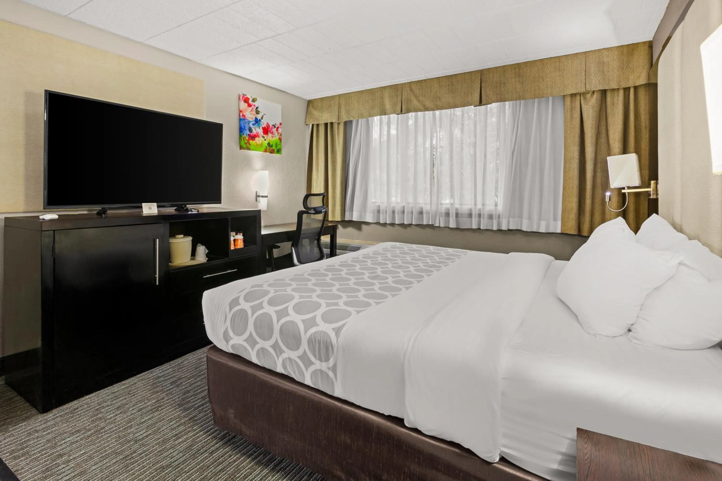 Photo of the whole room, Bed in Suburban Studios