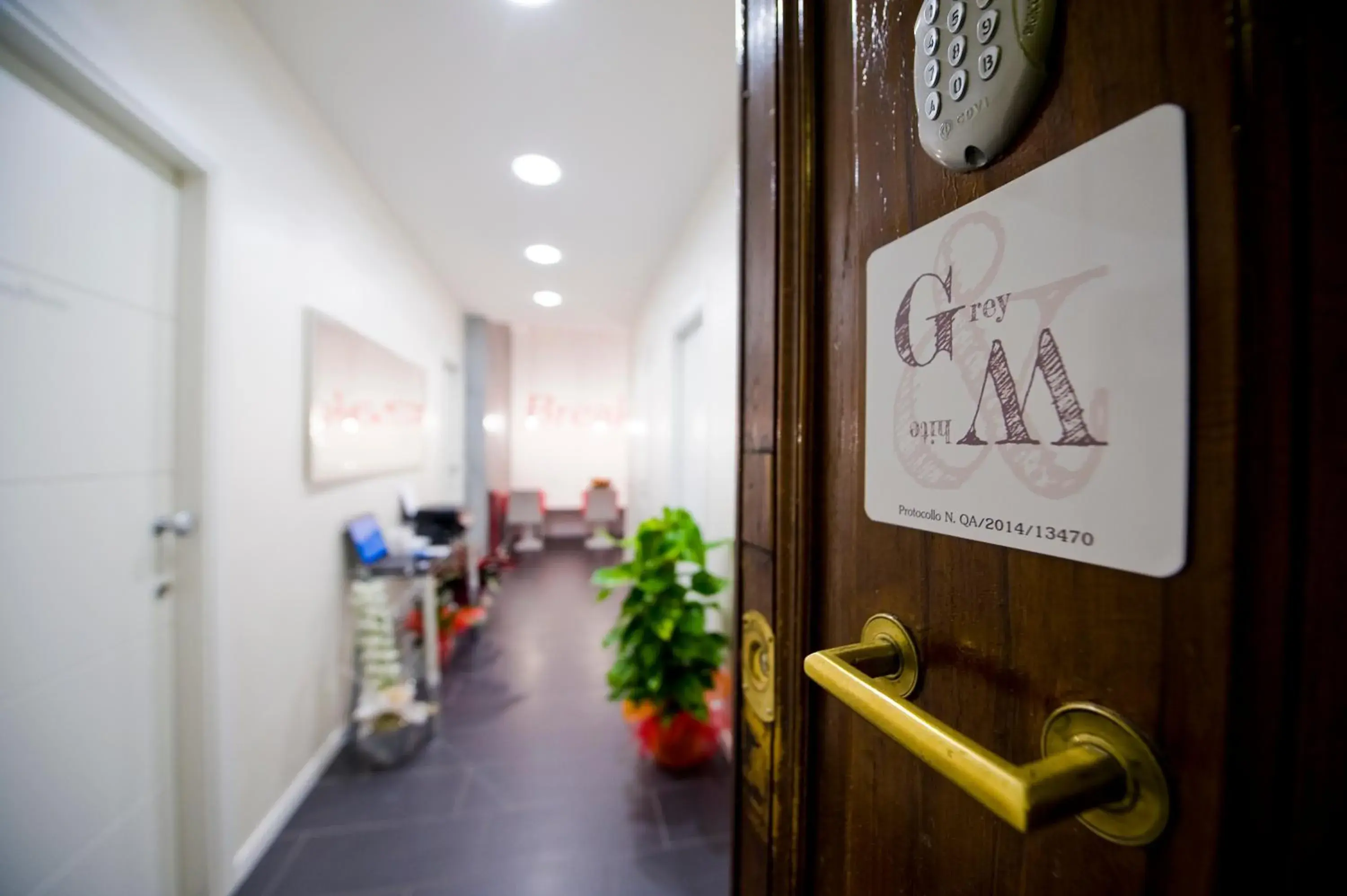 Grey&White Grey&White