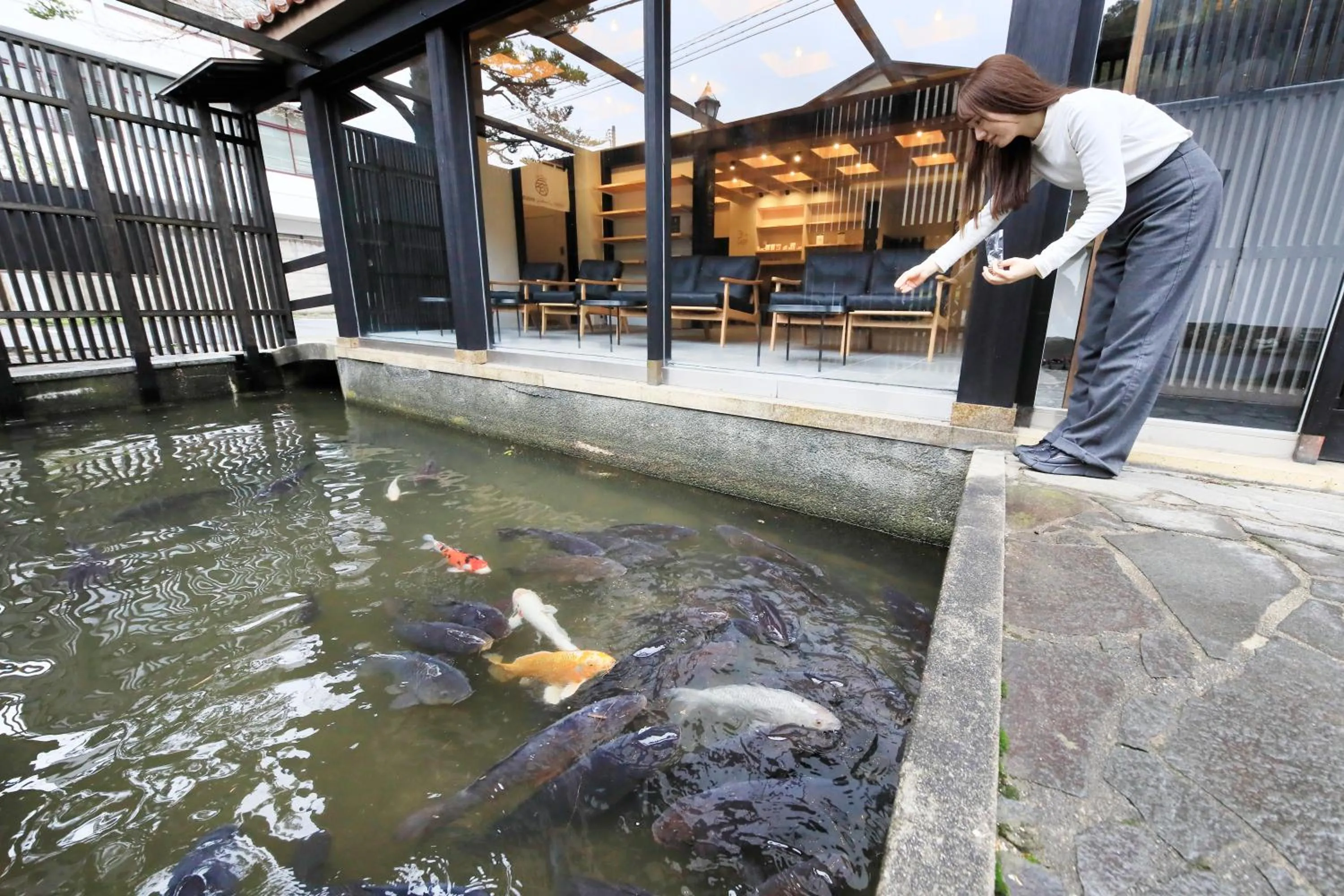 Lounge or bar in Yutorelo Tsuwano