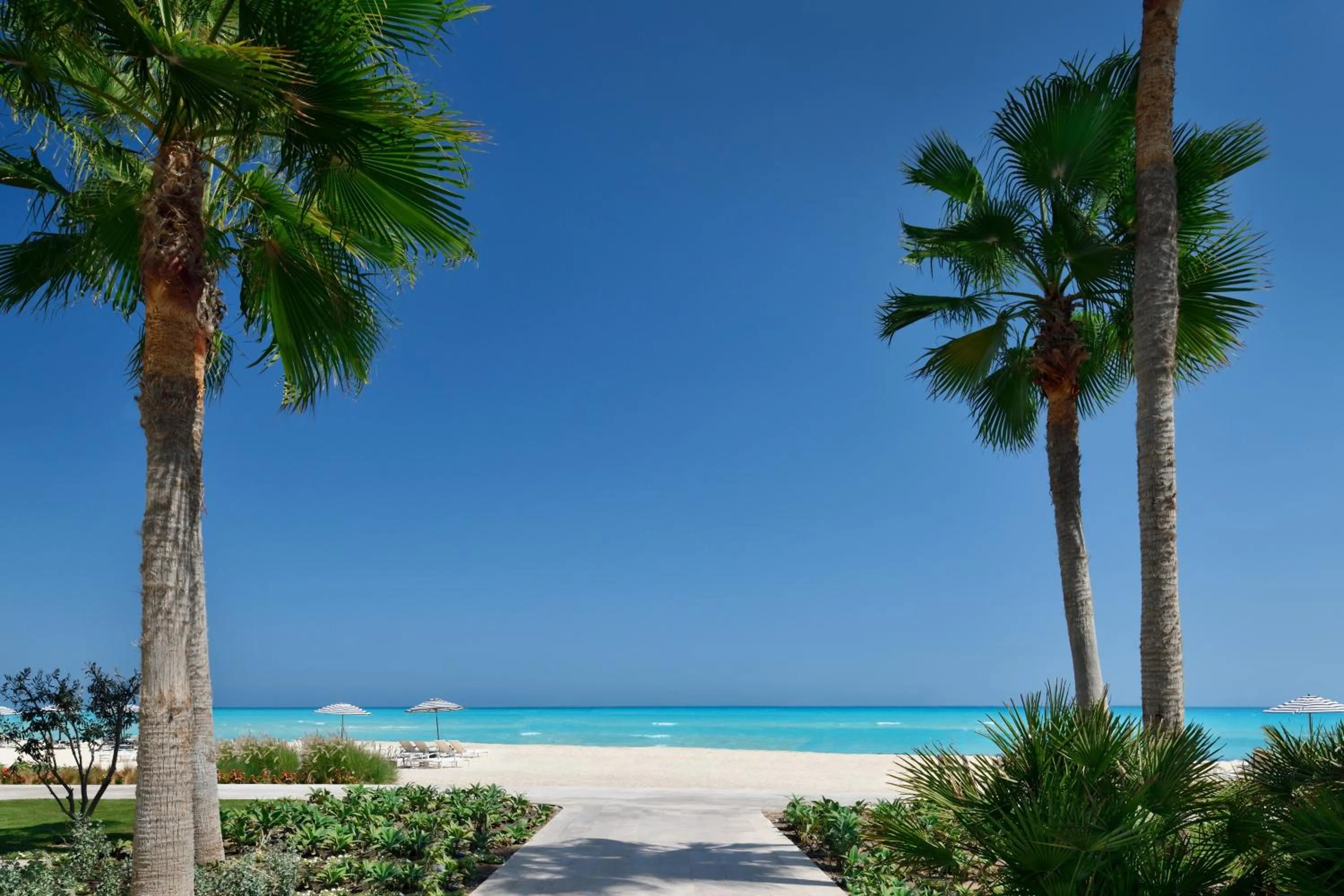 Natural landscape in Al Alamein Hotel