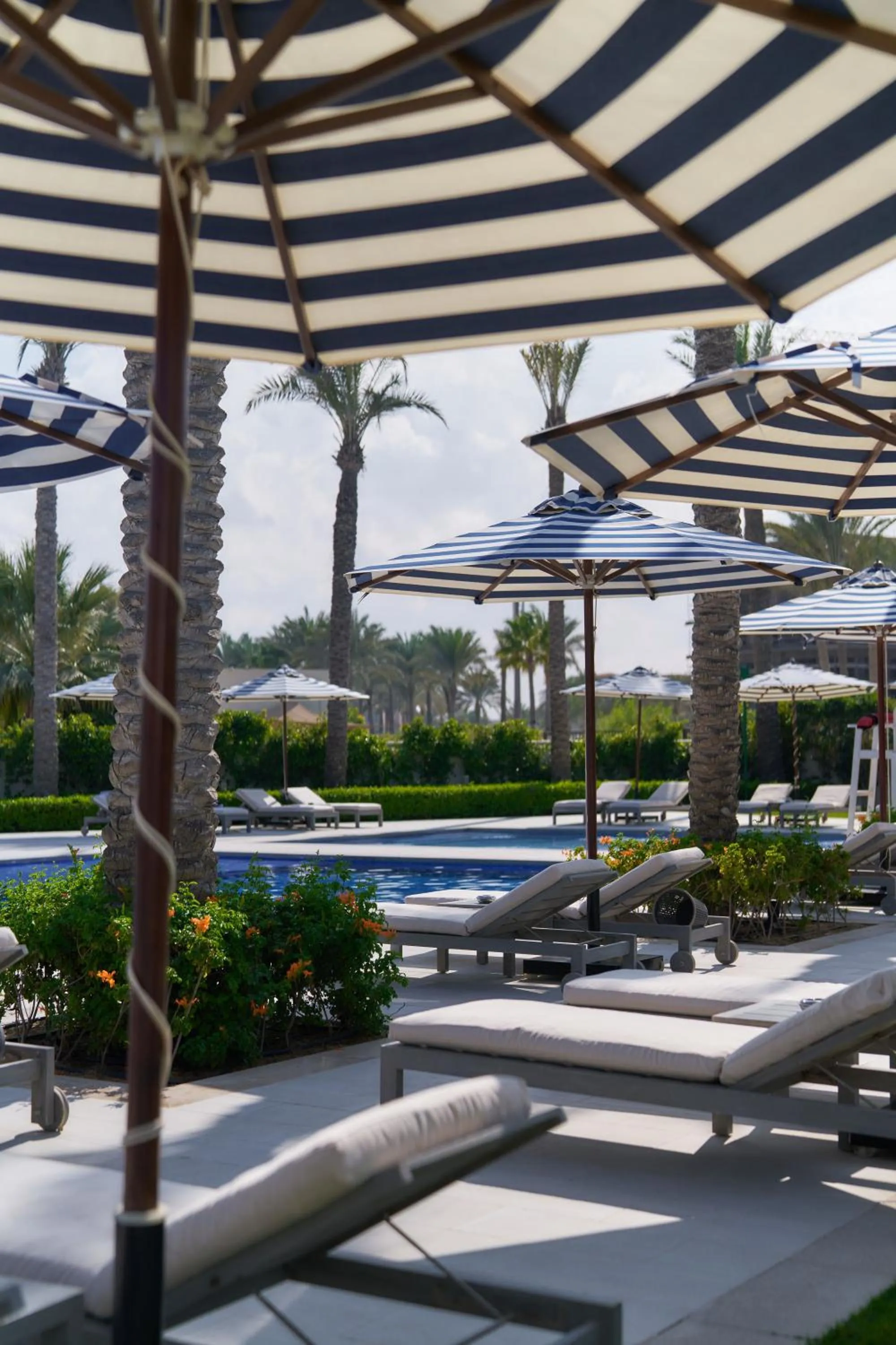 Pool view in Al Alamein Hotel