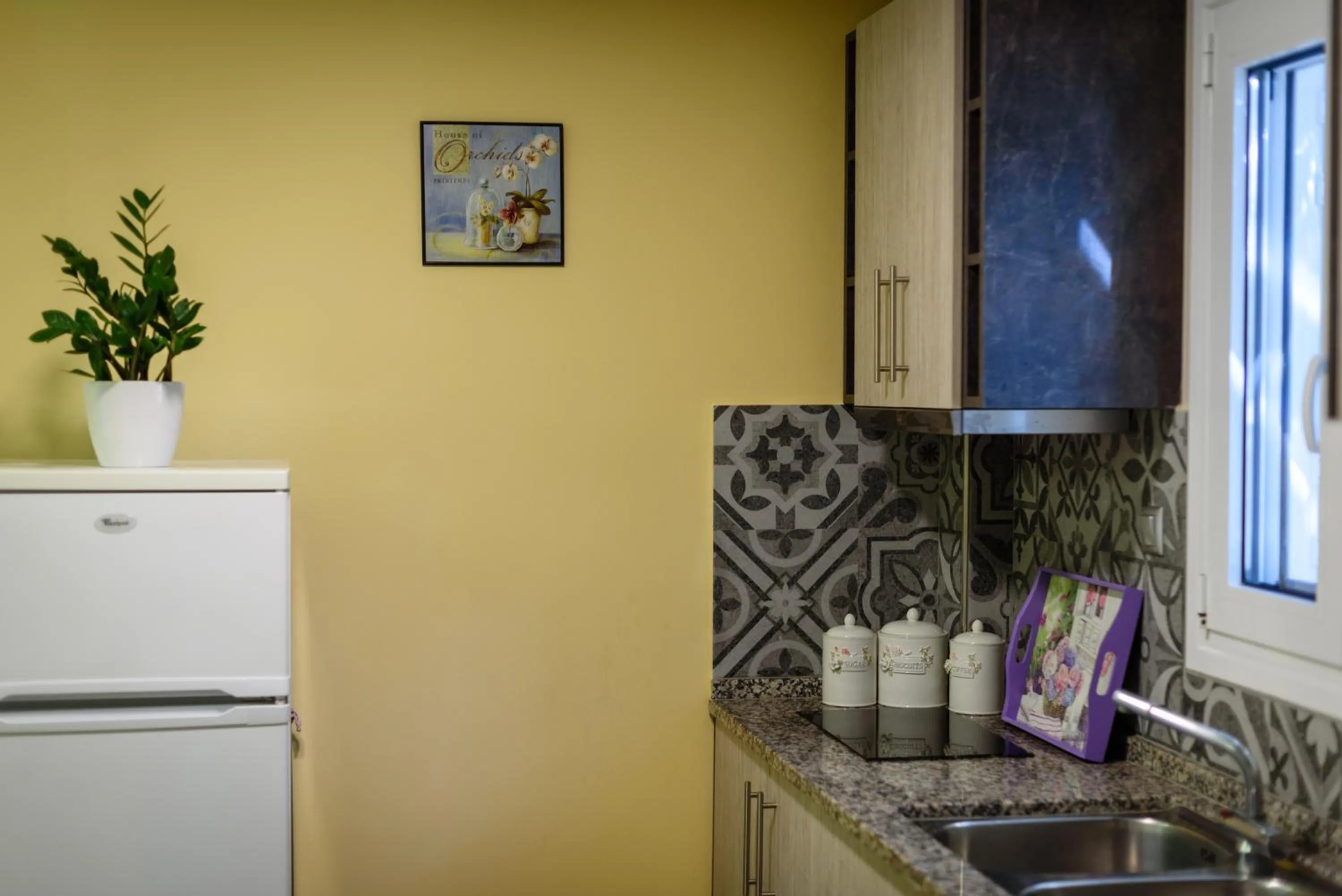 Kitchen or kitchenette in Ionion Beach Apartment Hotel & Spa