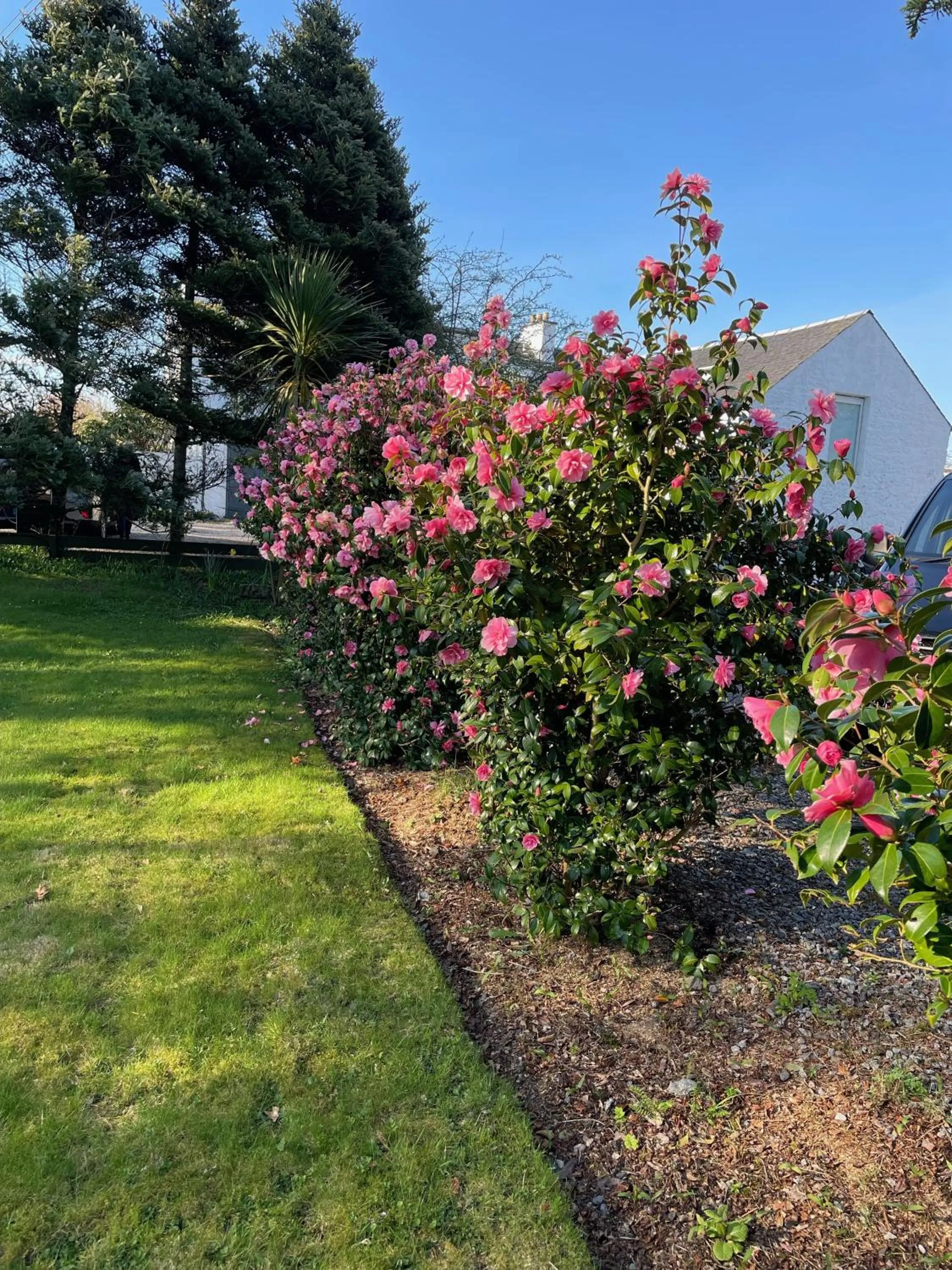 Garden in The Airds Hotel and Restaurant
