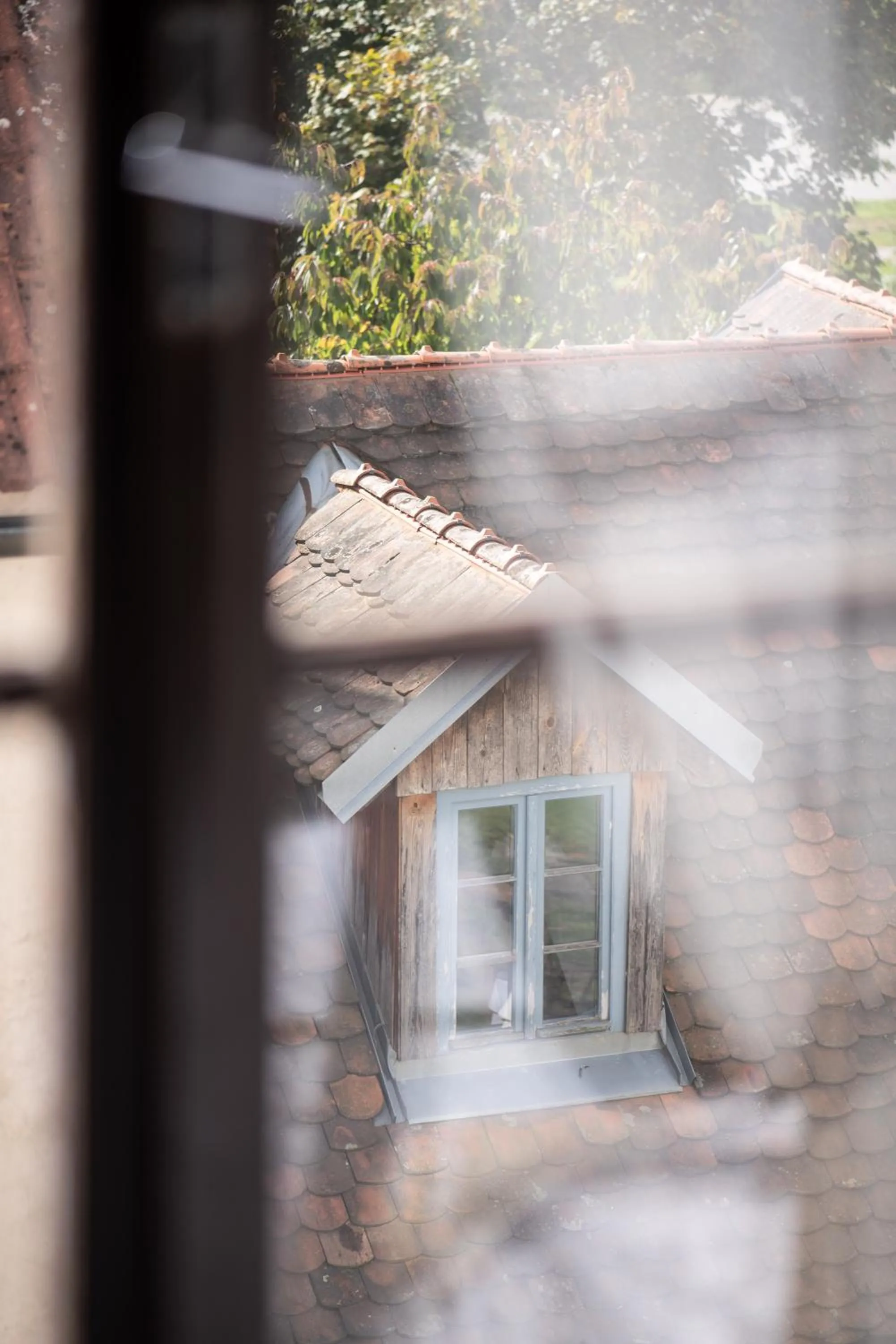 View (from property/room) in Hotel Pivoňka