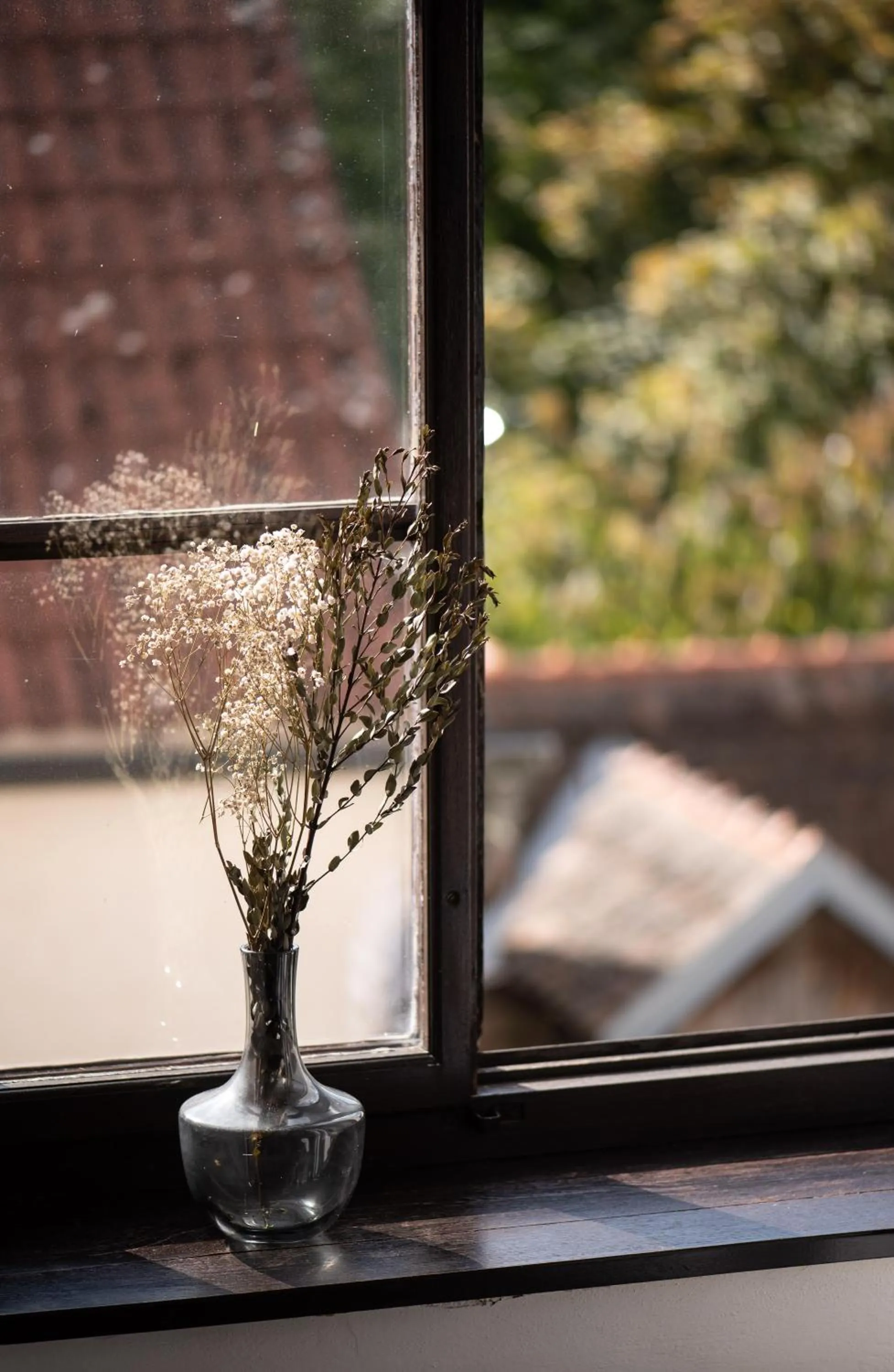 View (from property/room) in Hotel Pivoňka
