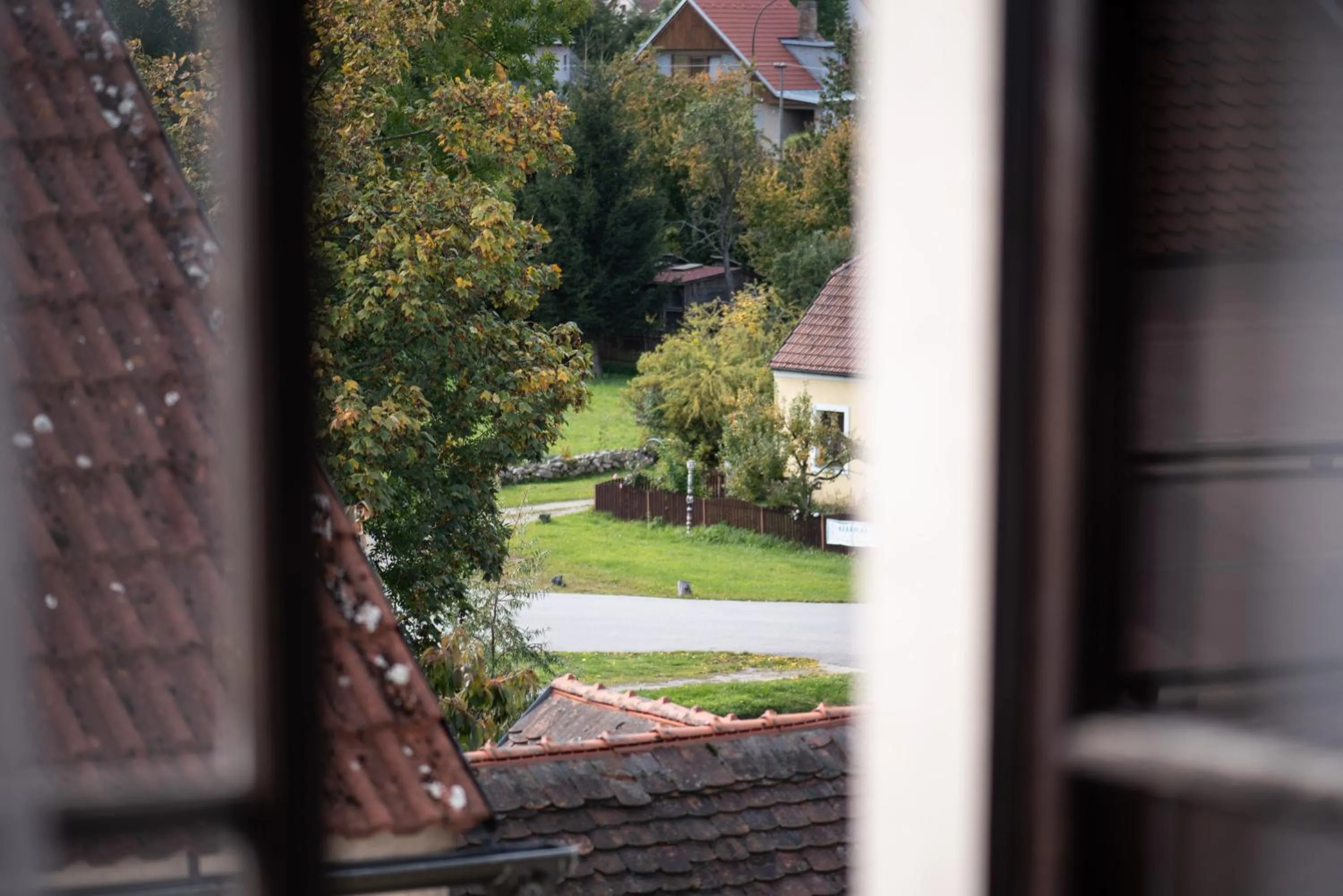 Garden view in Hotel Pivoňka