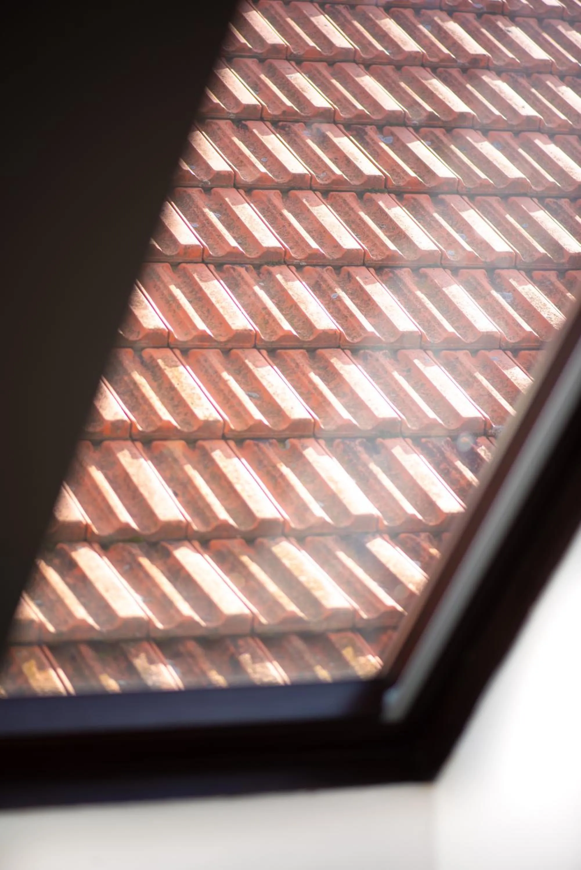 View (from property/room) in Hotel Pivoňka