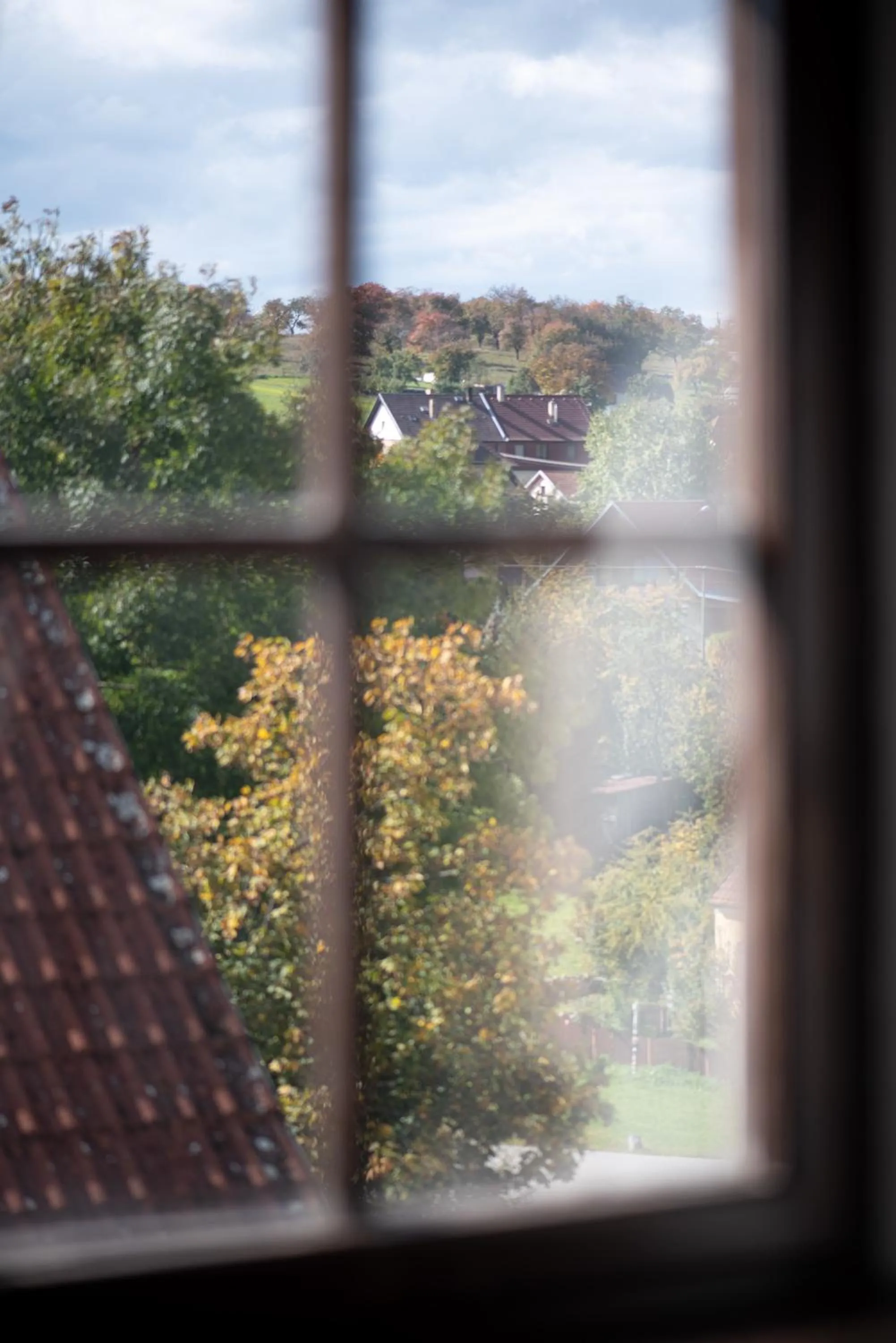 View (from property/room) in Hotel Pivoňka