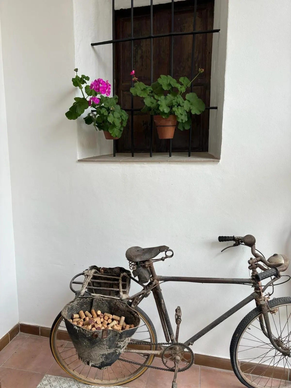 Cycling in Art Boutique La Casona de las Flores