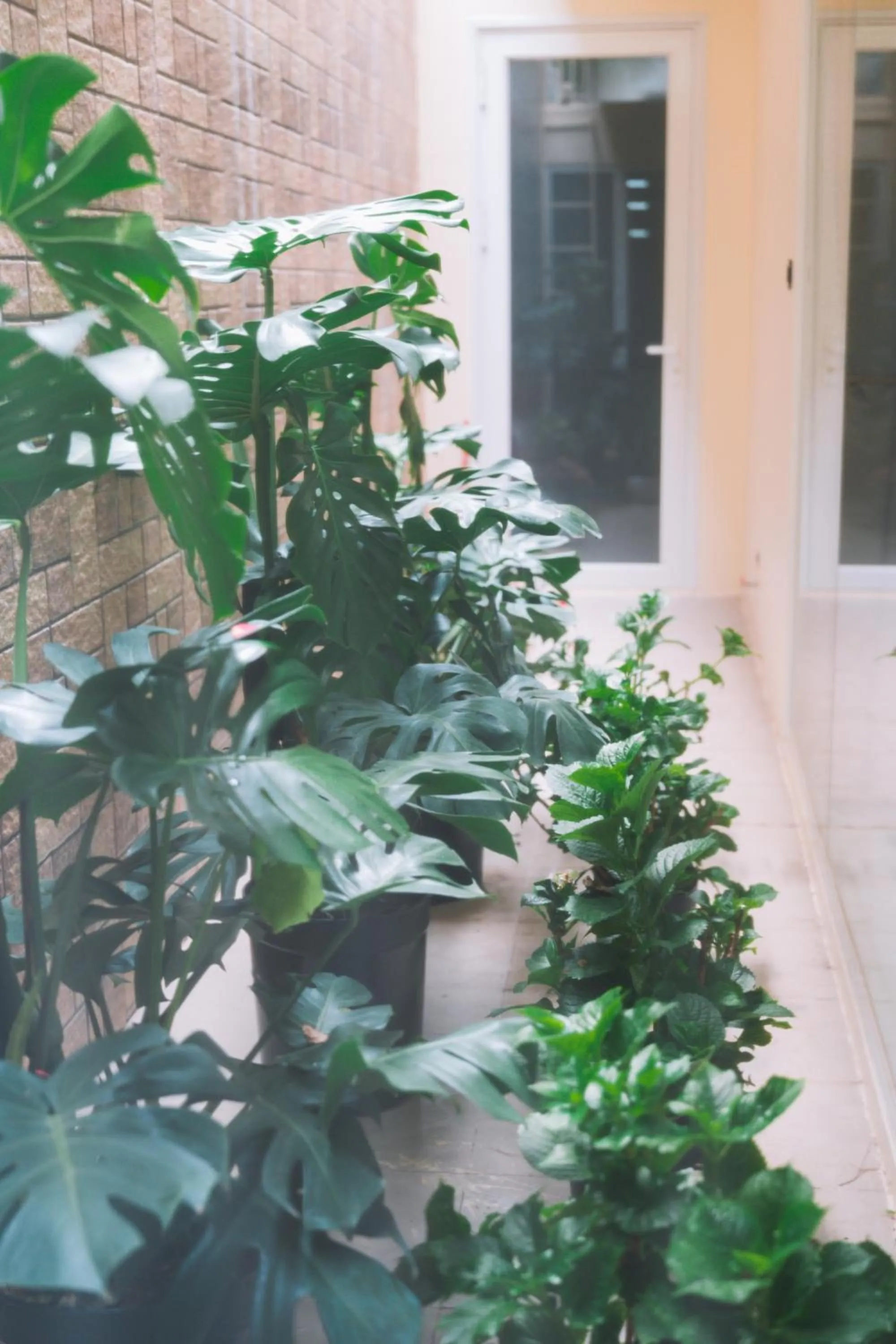 Garden in Quy Tai Premium Hotel