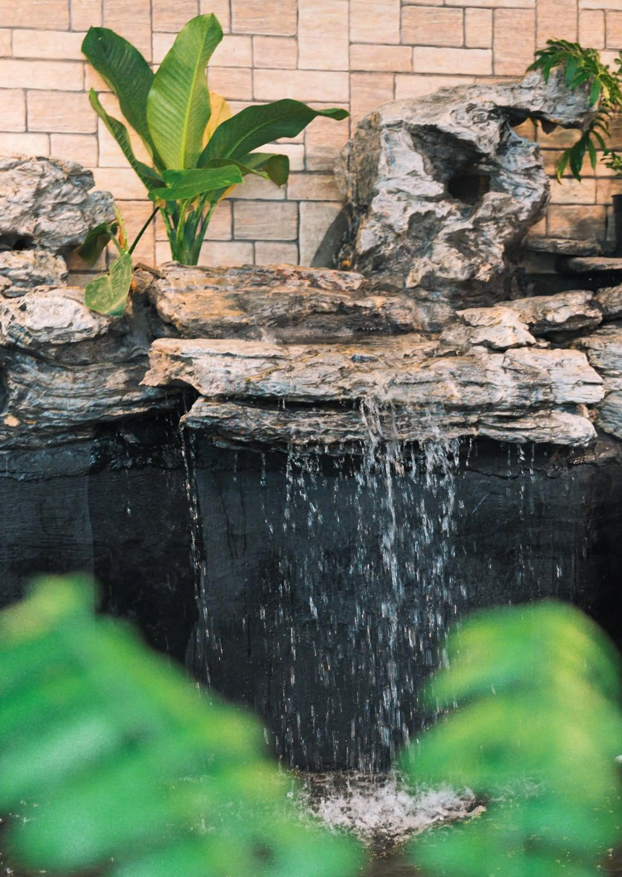 Natural landscape in Quy Tai Premium Hotel