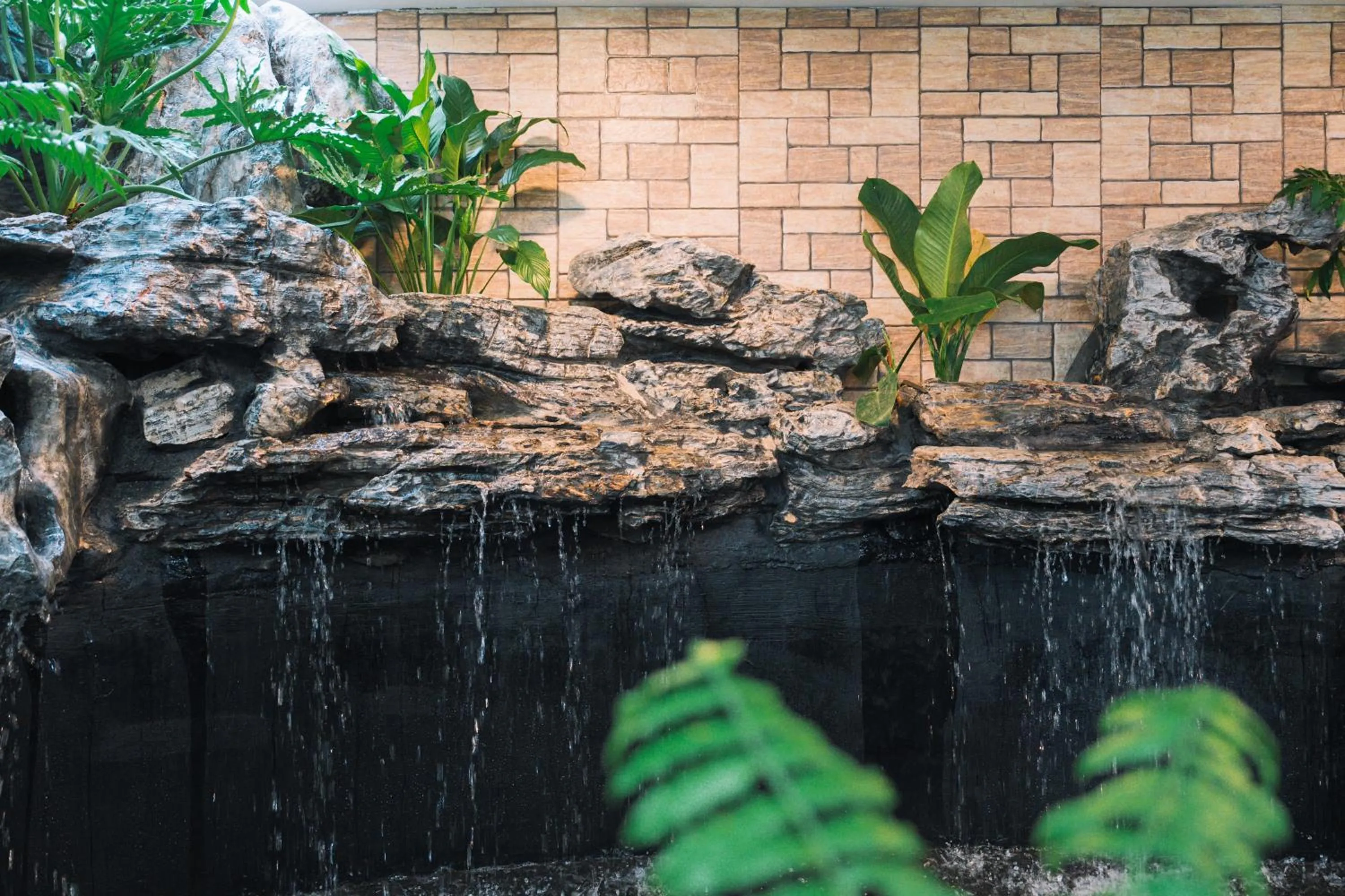 Natural landscape in Quy Tai Premium Hotel