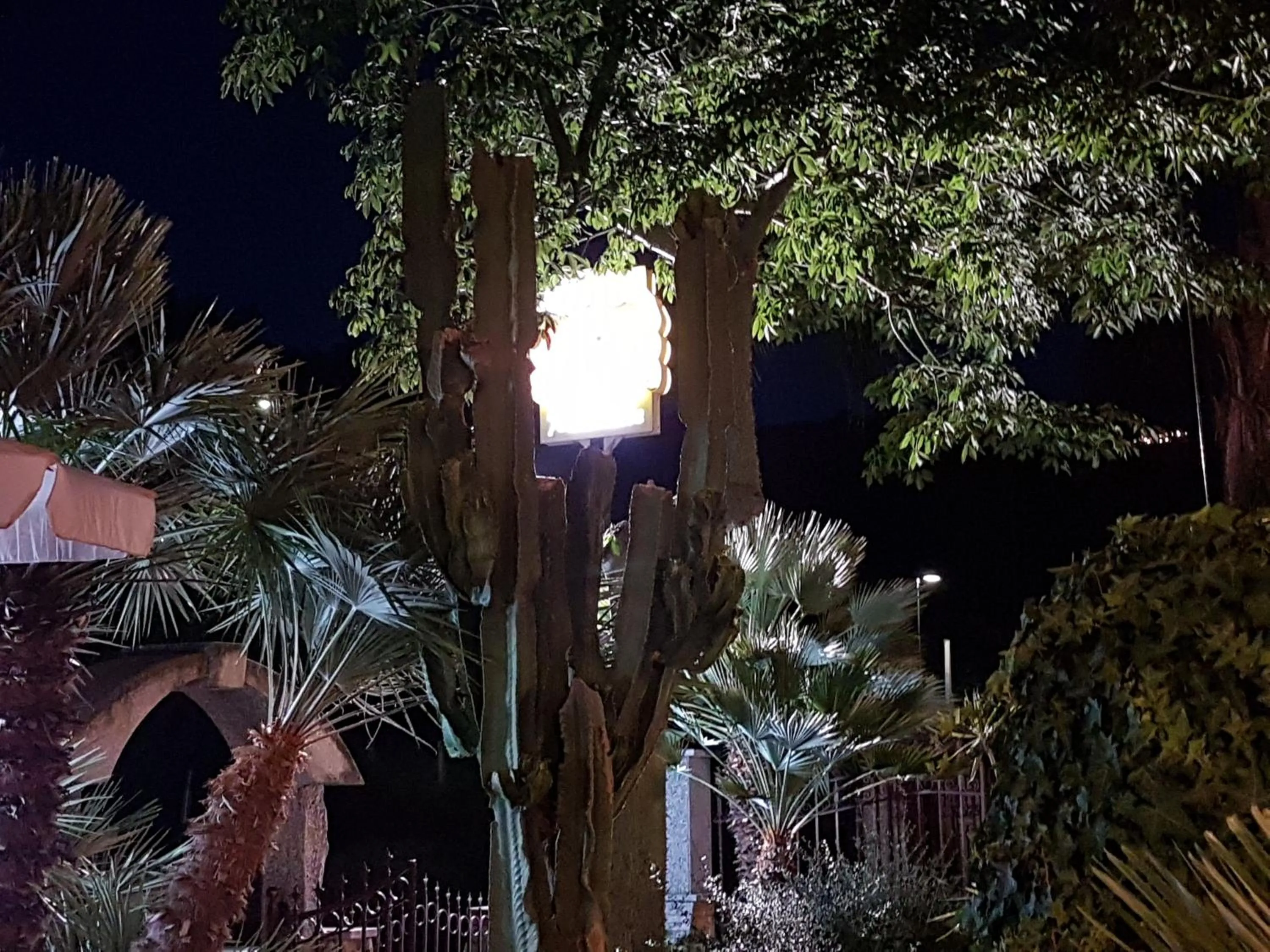 Garden in Hotel Nautilus