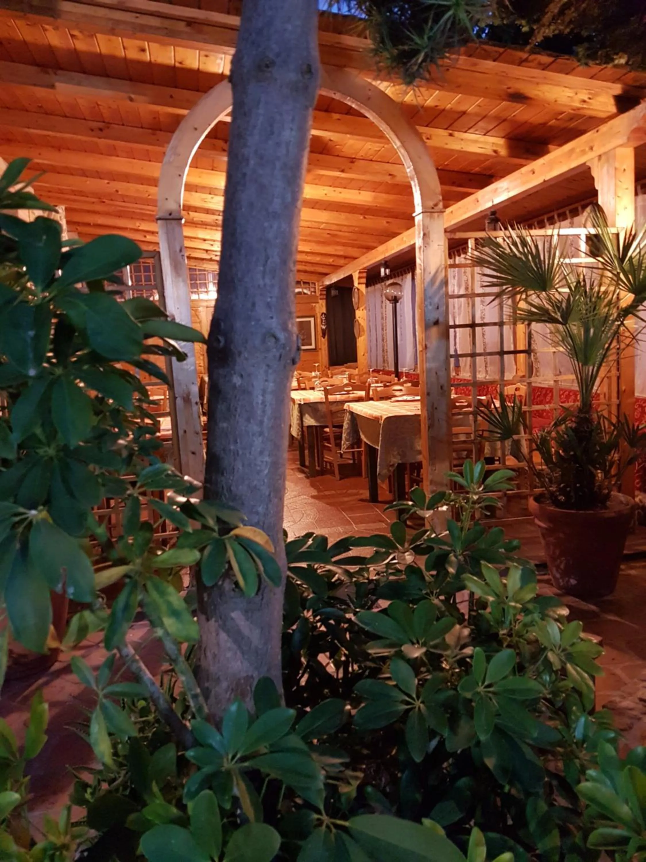 Area and facilities in Hotel Nautilus