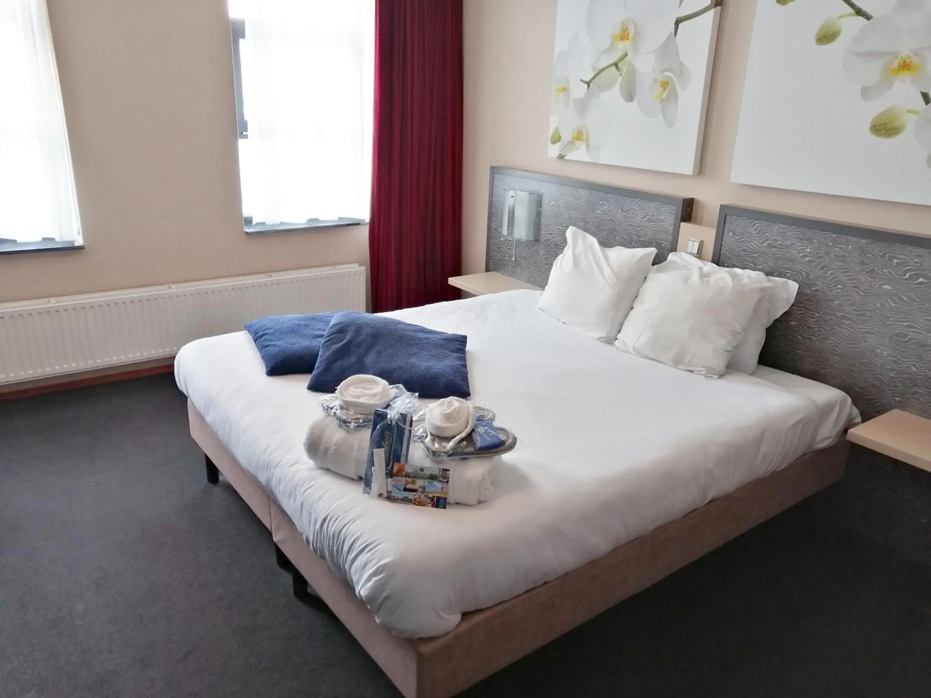 Executive Suite in Fletcher Wellness-Hotel Trivium Executive Suite in Fletcher Wellness-Hotel Trivium