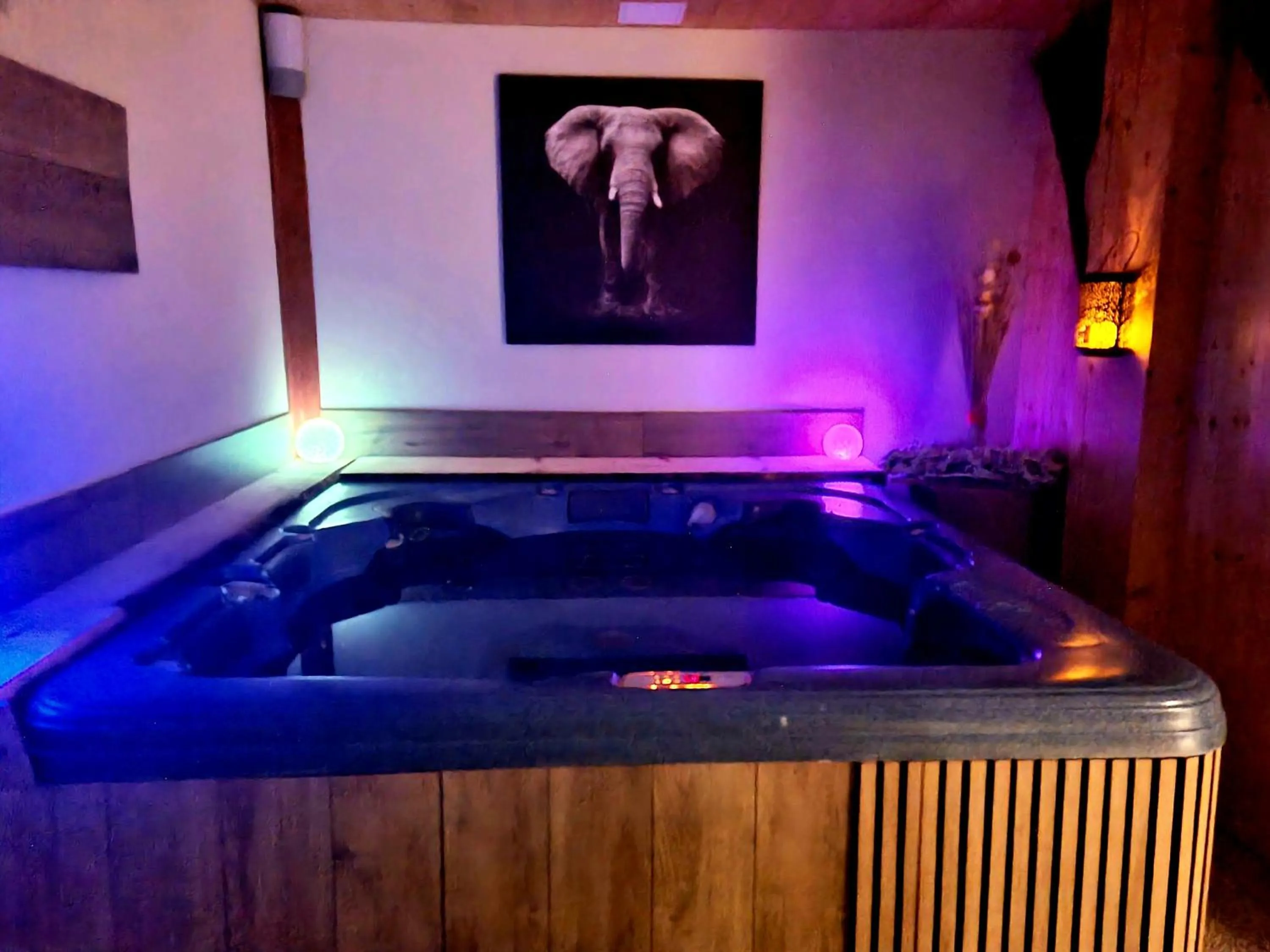 Hot Tub in Hôtel Le Dormeur