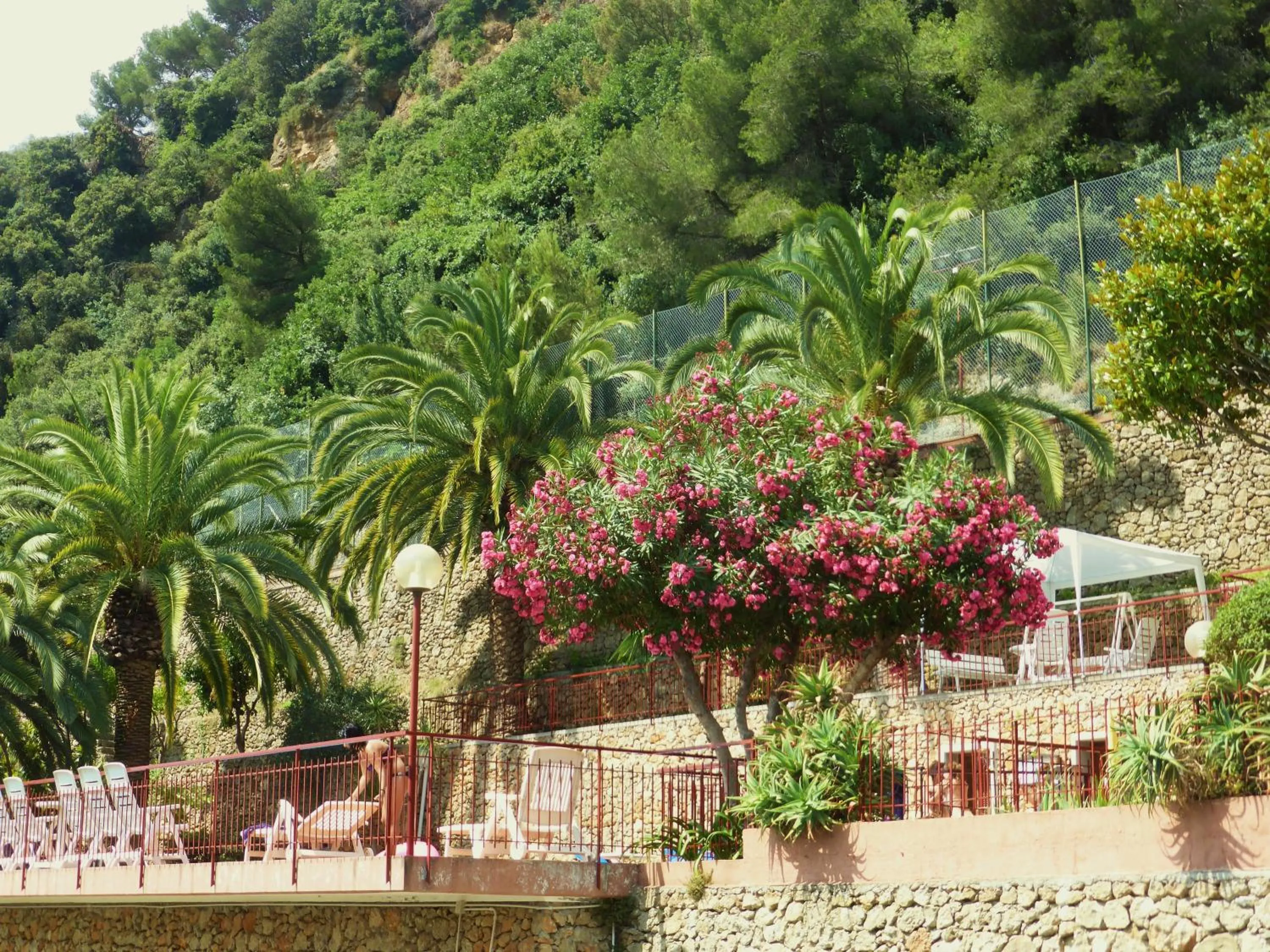 Garden view in Residence Green Park