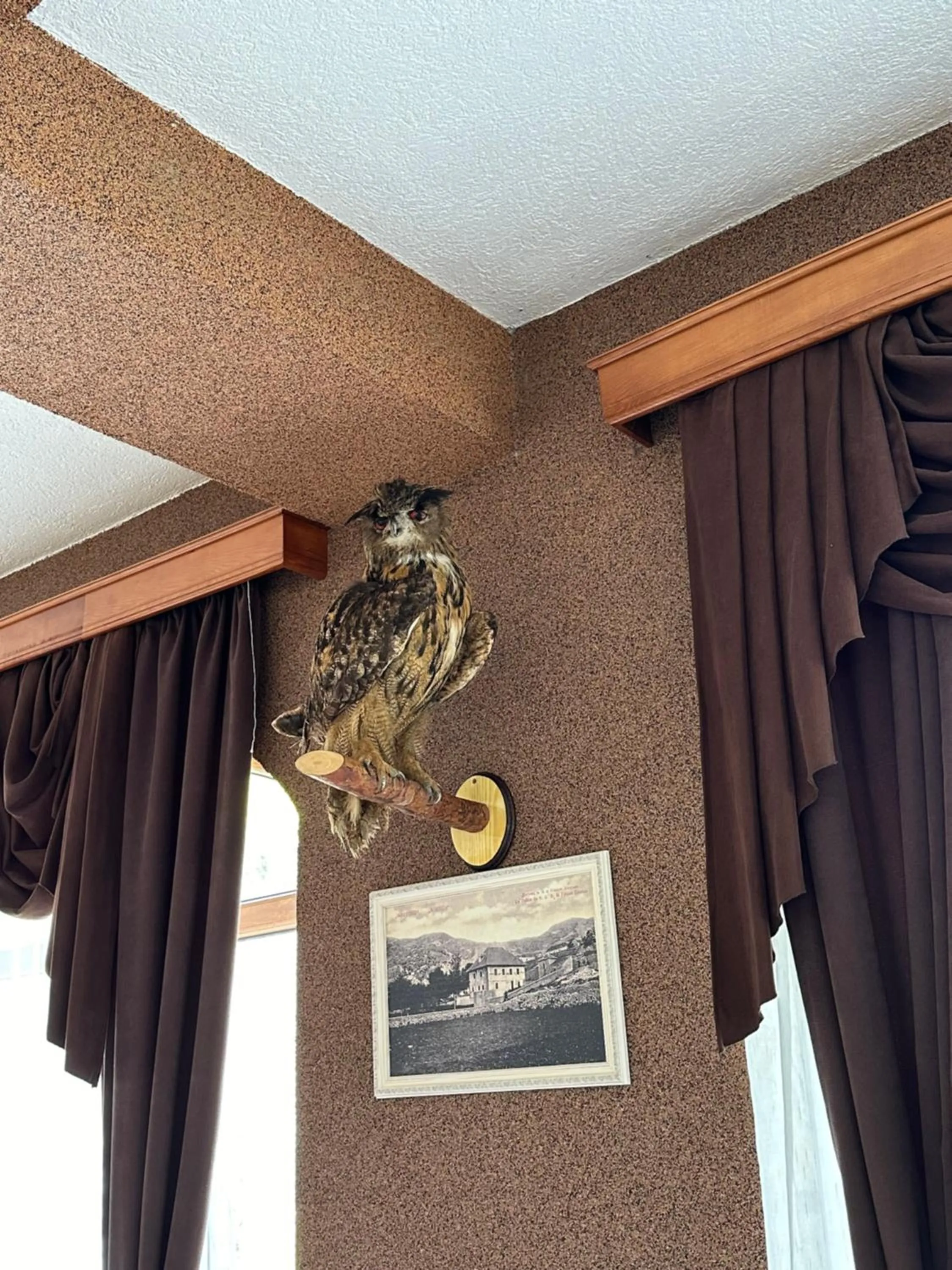 Restaurant/places to eat in Hotel Monte Rosa