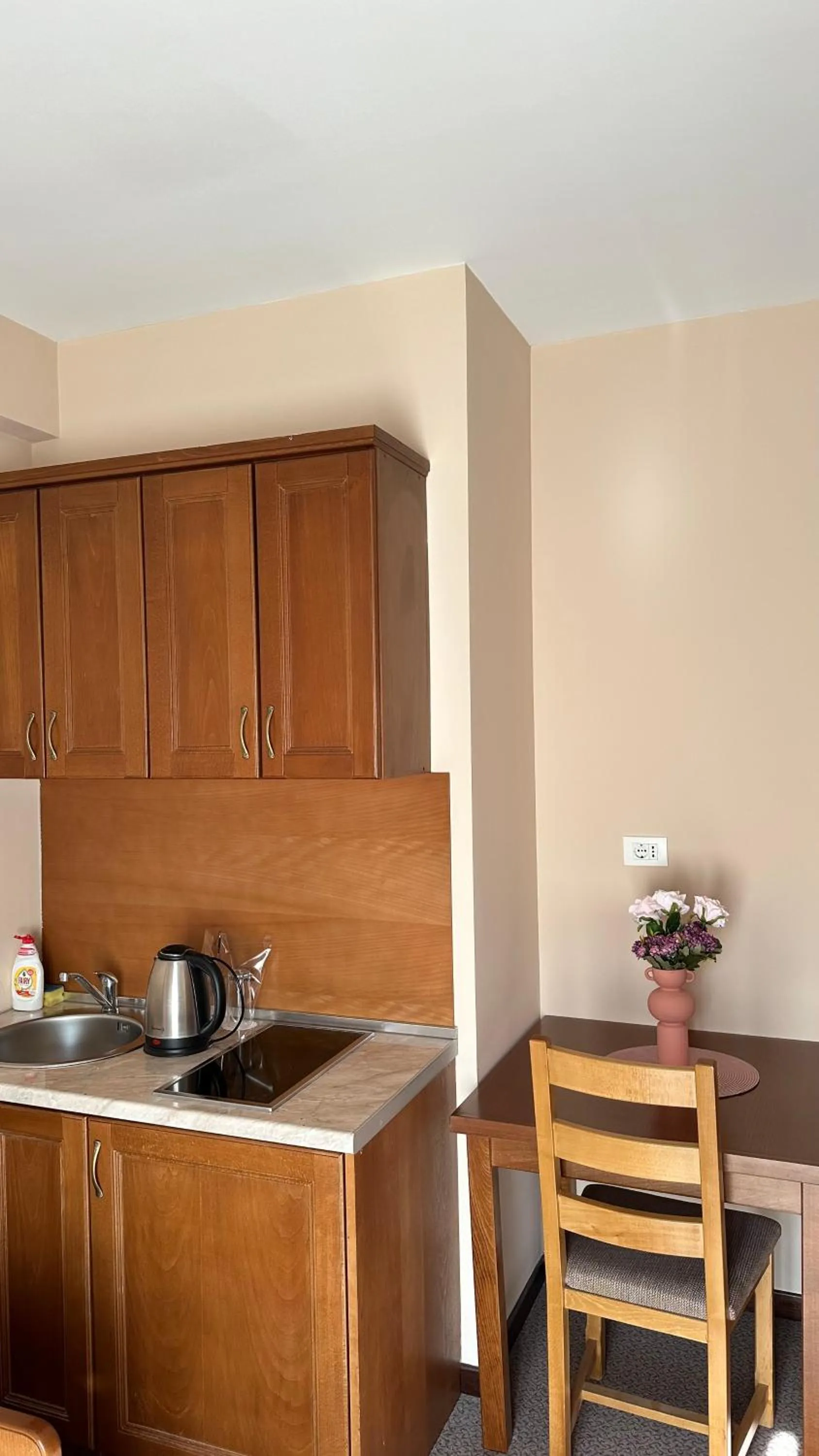 Kitchen or kitchenette in Hotel Monte Rosa