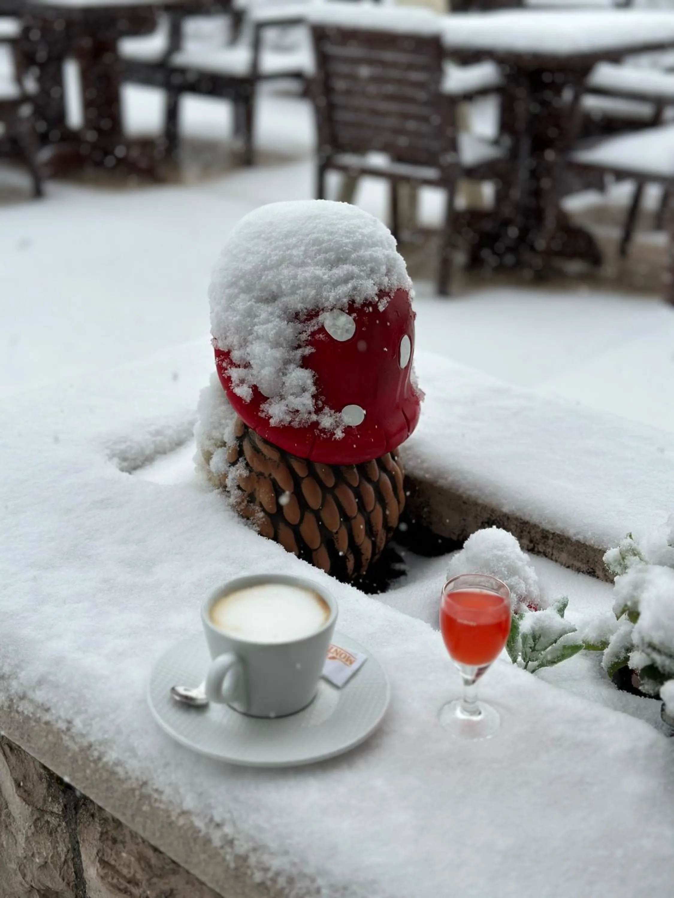 Winter in Hotel Monte Rosa