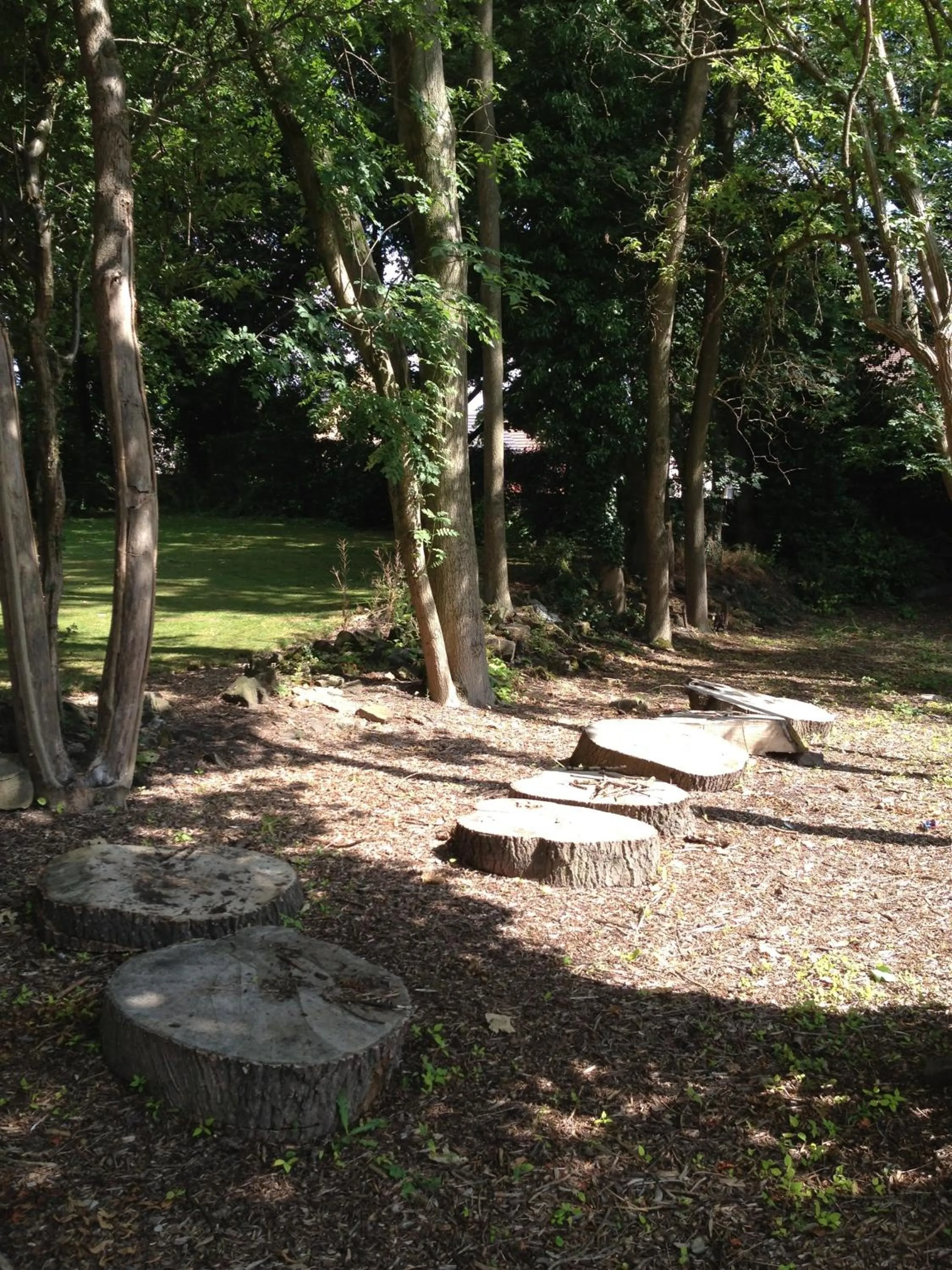 Garden view in Healey House Hotel