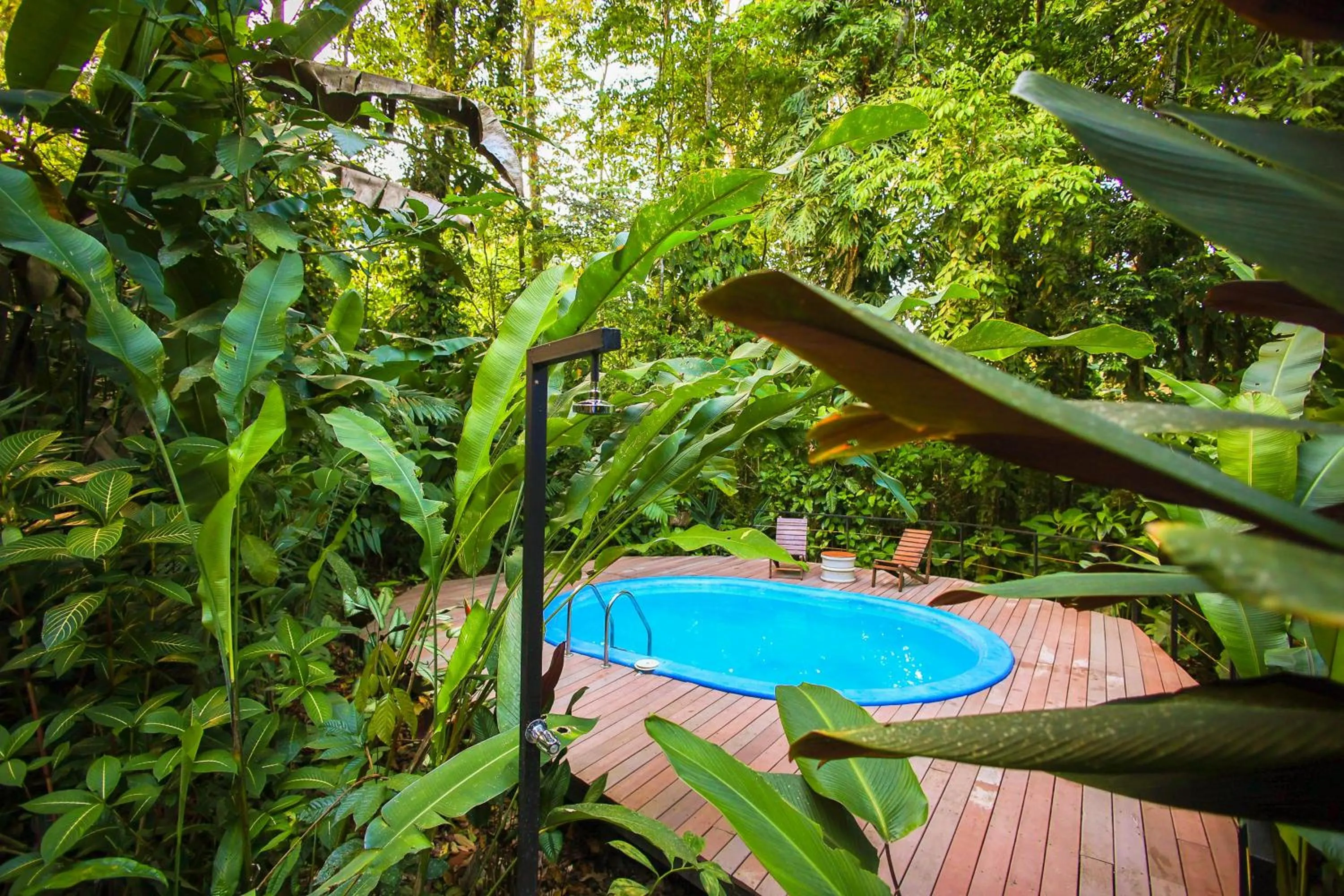 Swimming pool in La Kukula Lodge