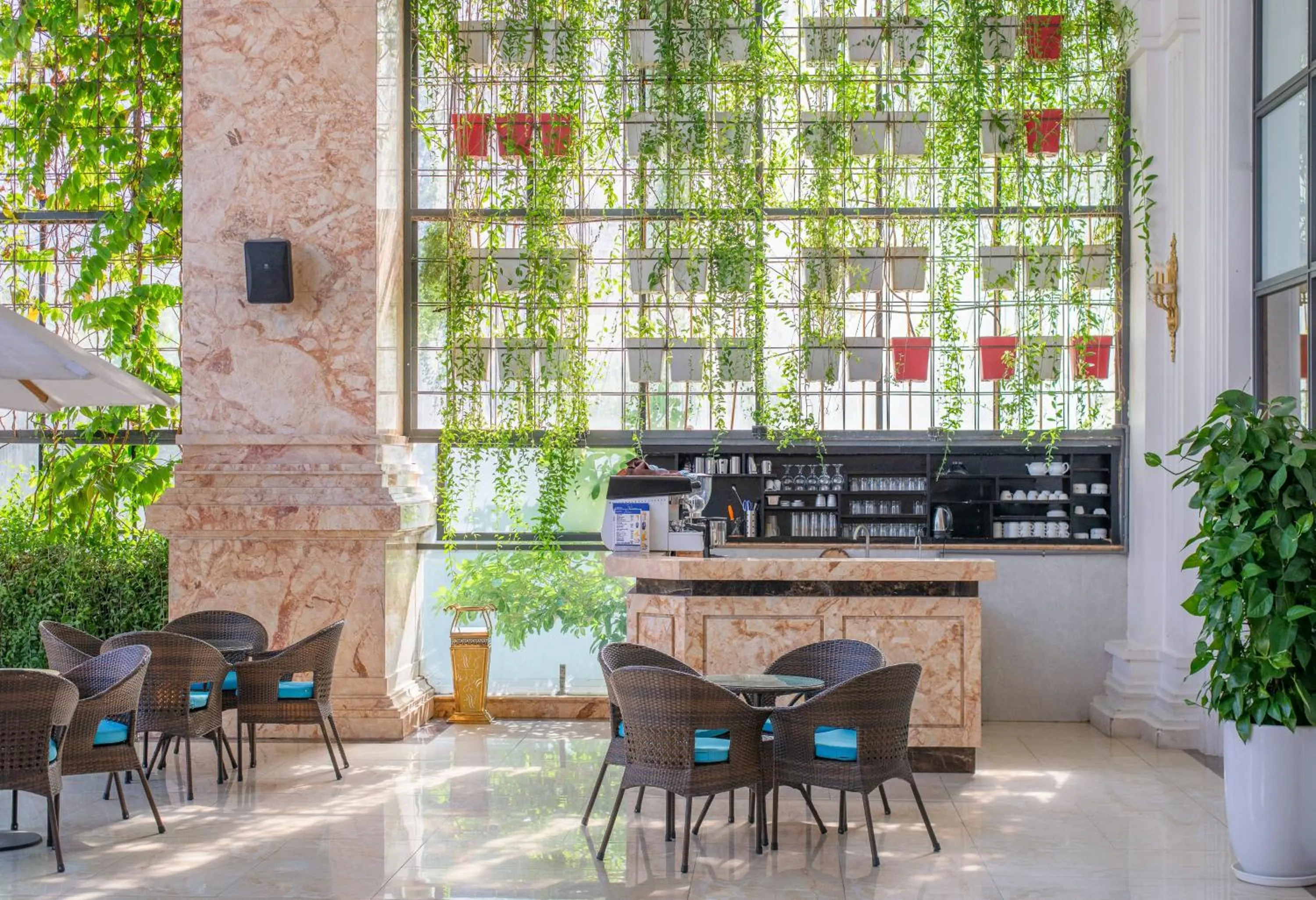 Patio in Daphovina Hotel