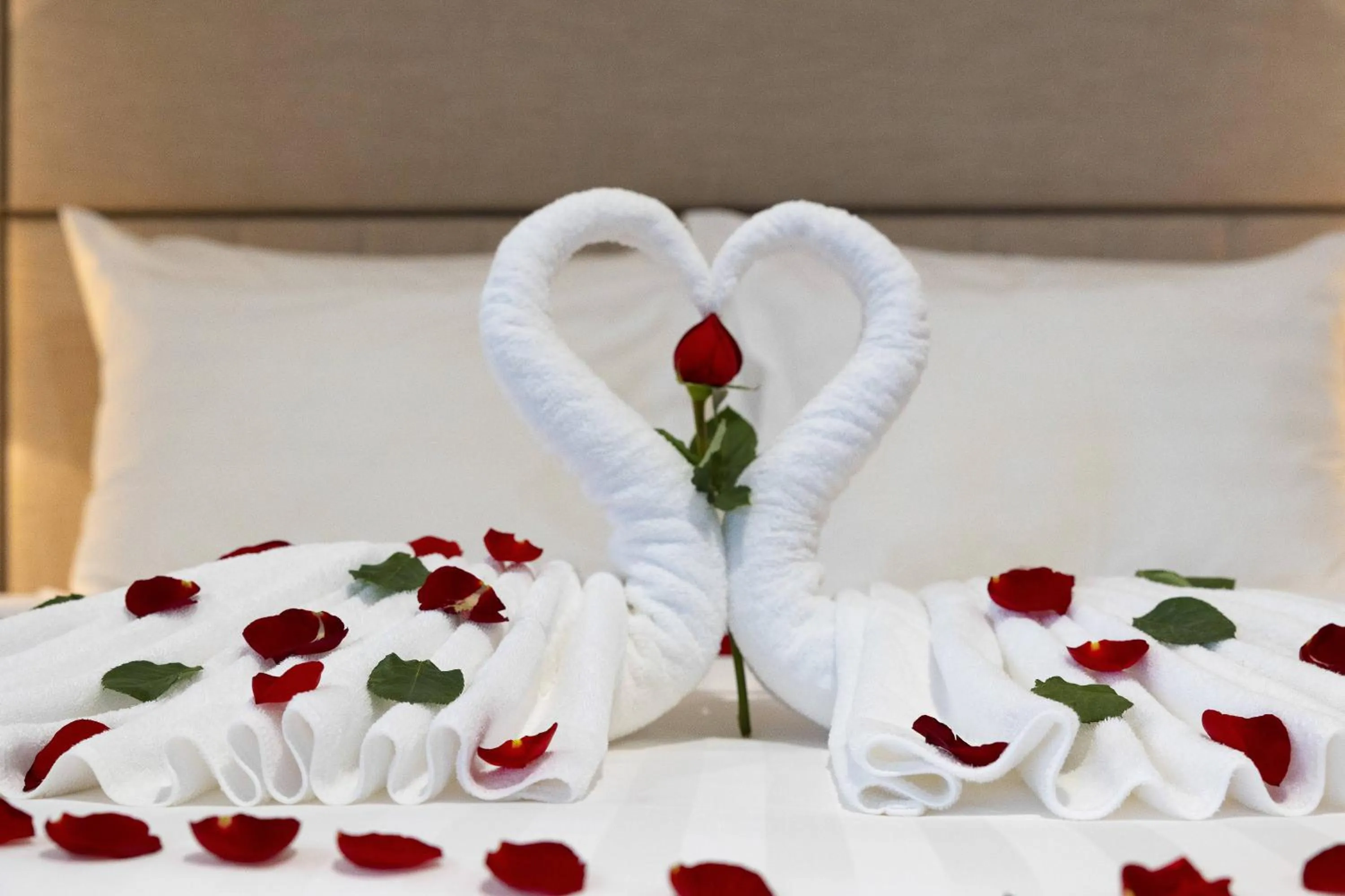 Bed in Daphovina Hotel