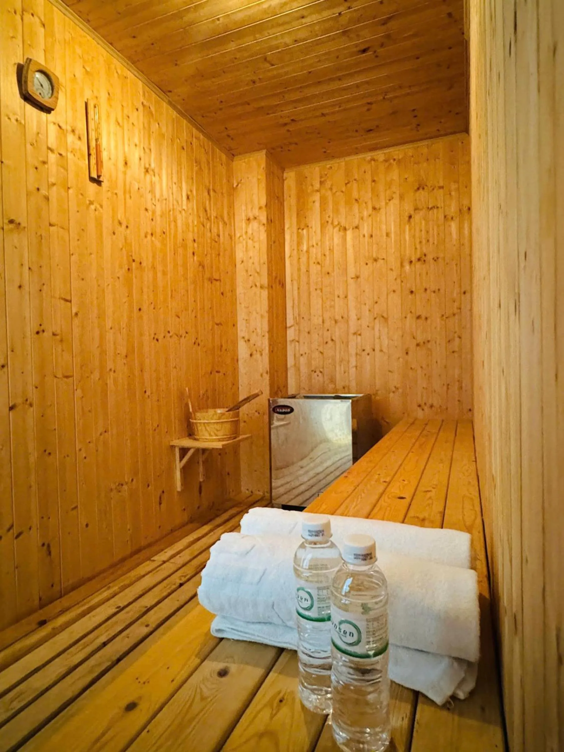 Sauna in Daphovina Hotel