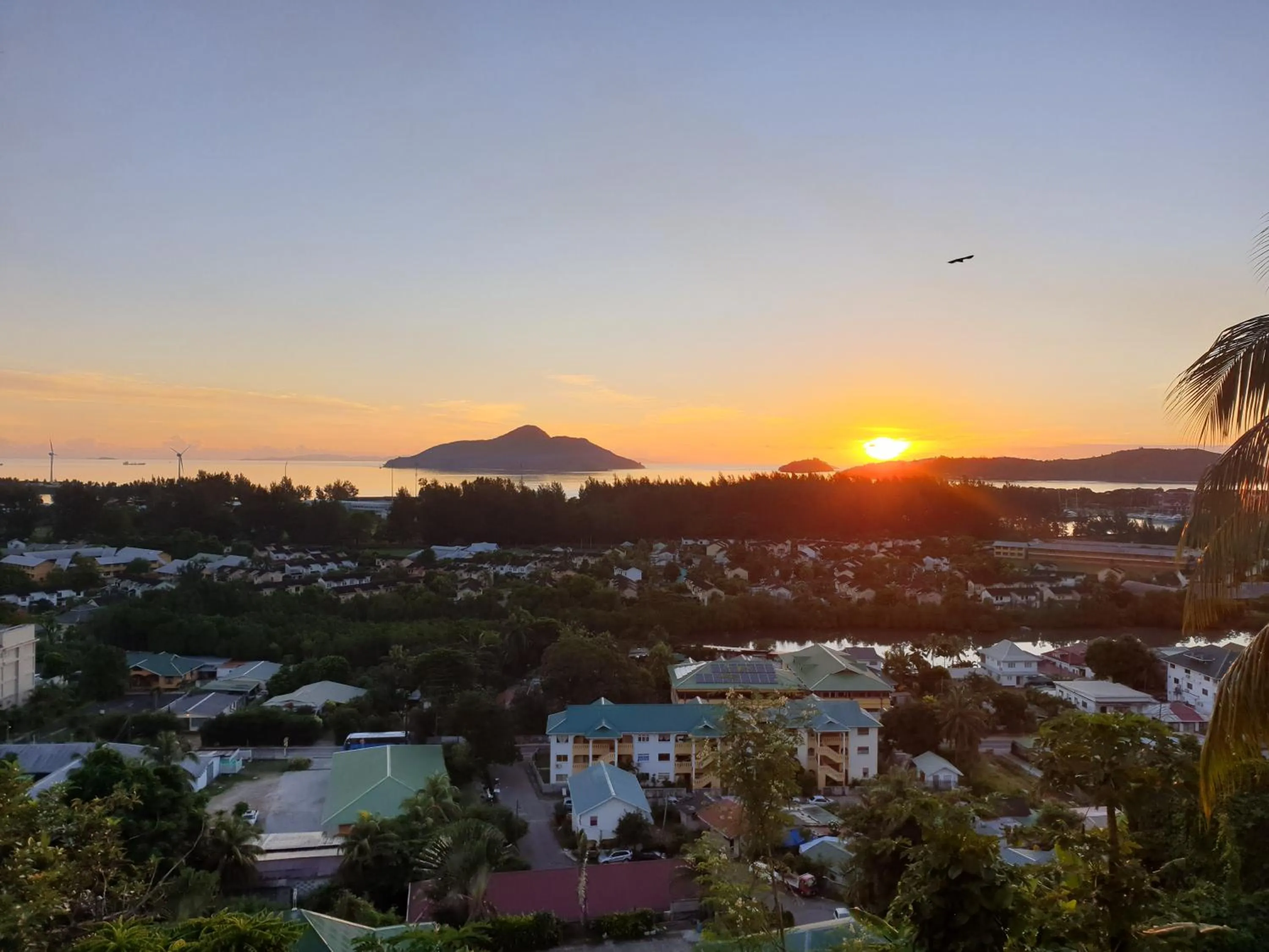 Day in The Ridge Residence