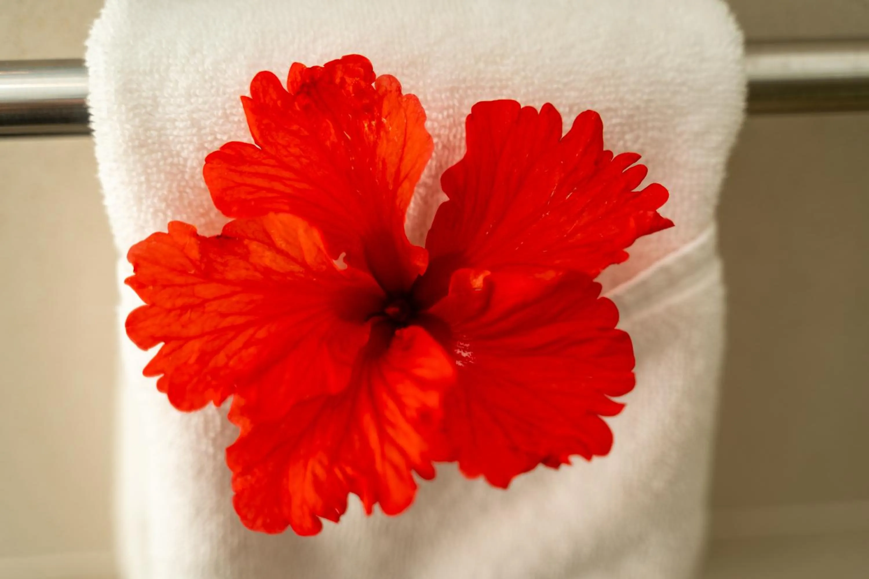 Decorative detail in The Ridge Residence