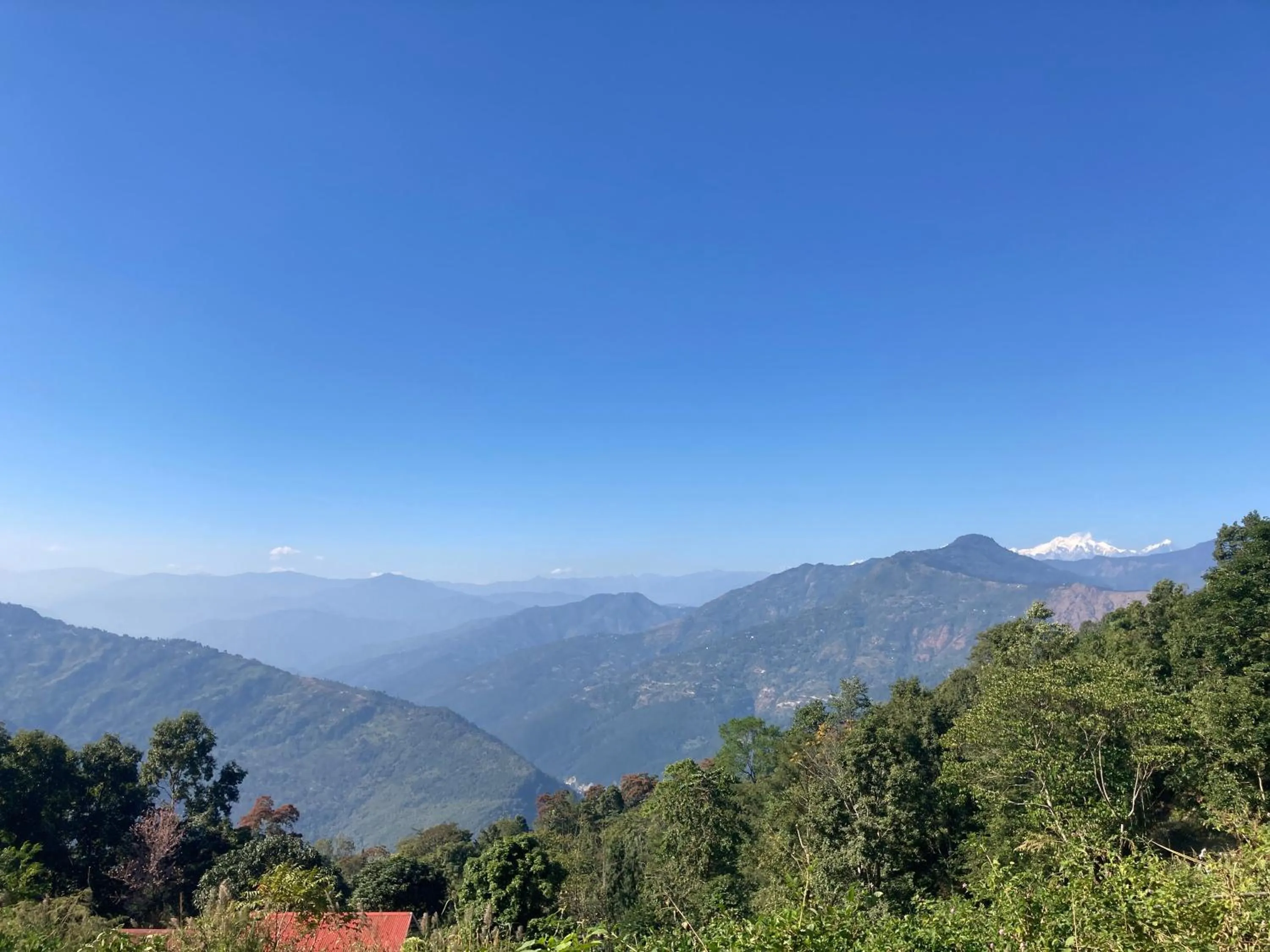 Mountain view in Art Mile Kalimpong