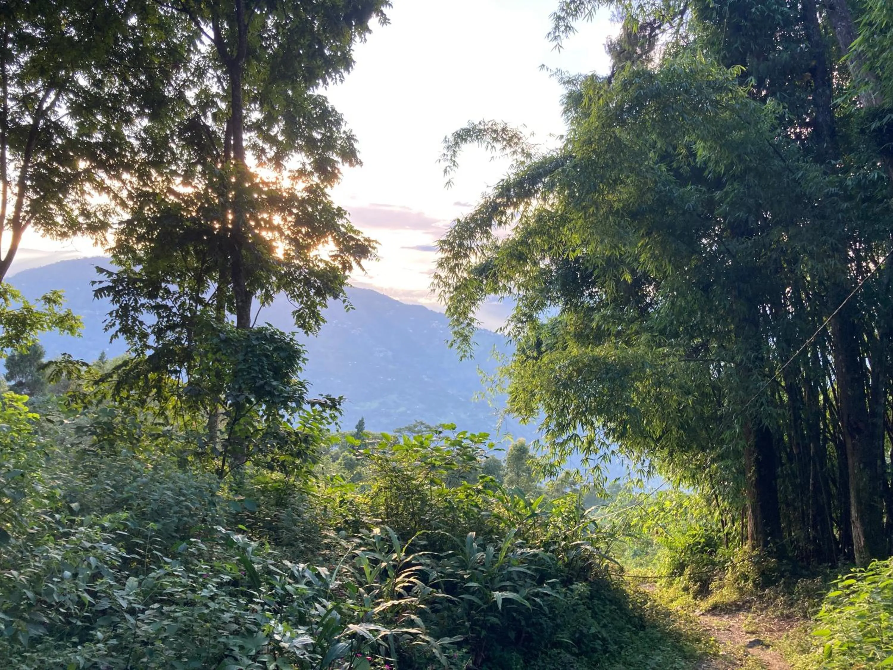 Natural landscape in Art Mile Kalimpong