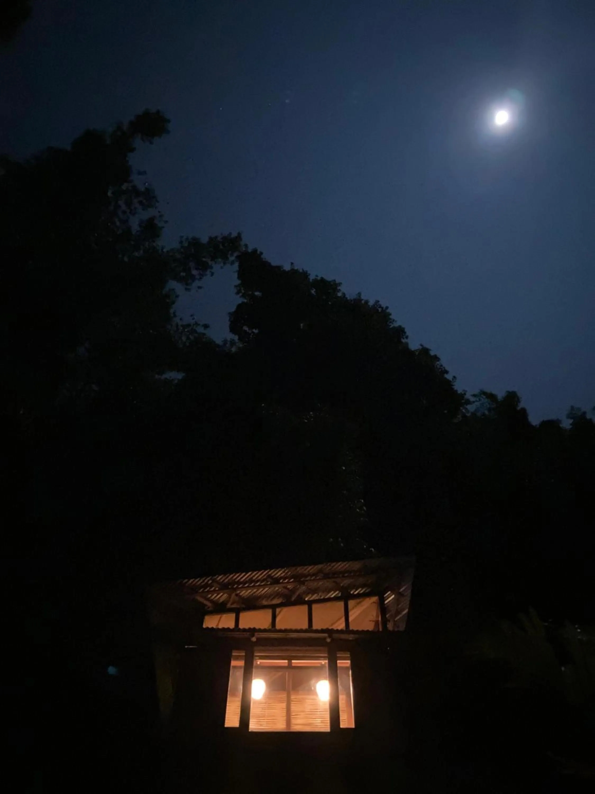 Night in Art Mile Kalimpong