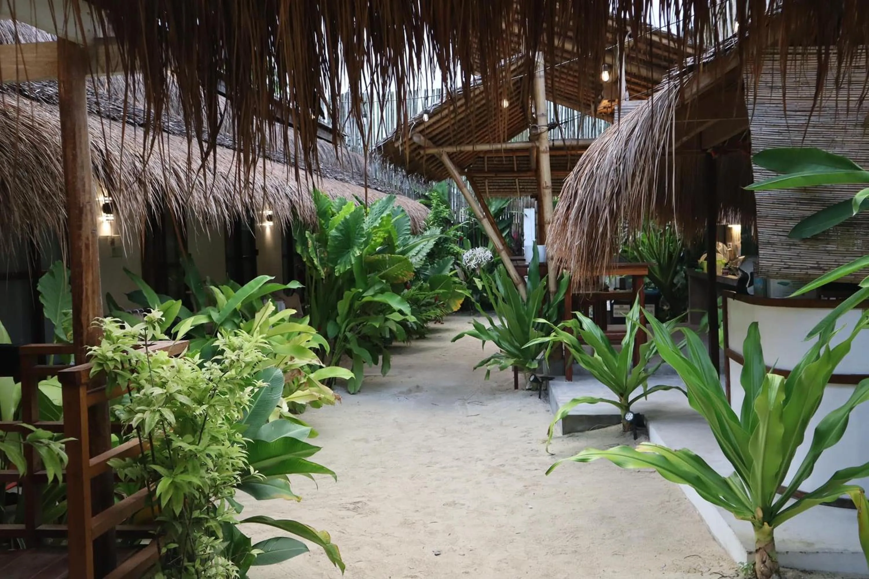 Garden view in Mazawa Siargao