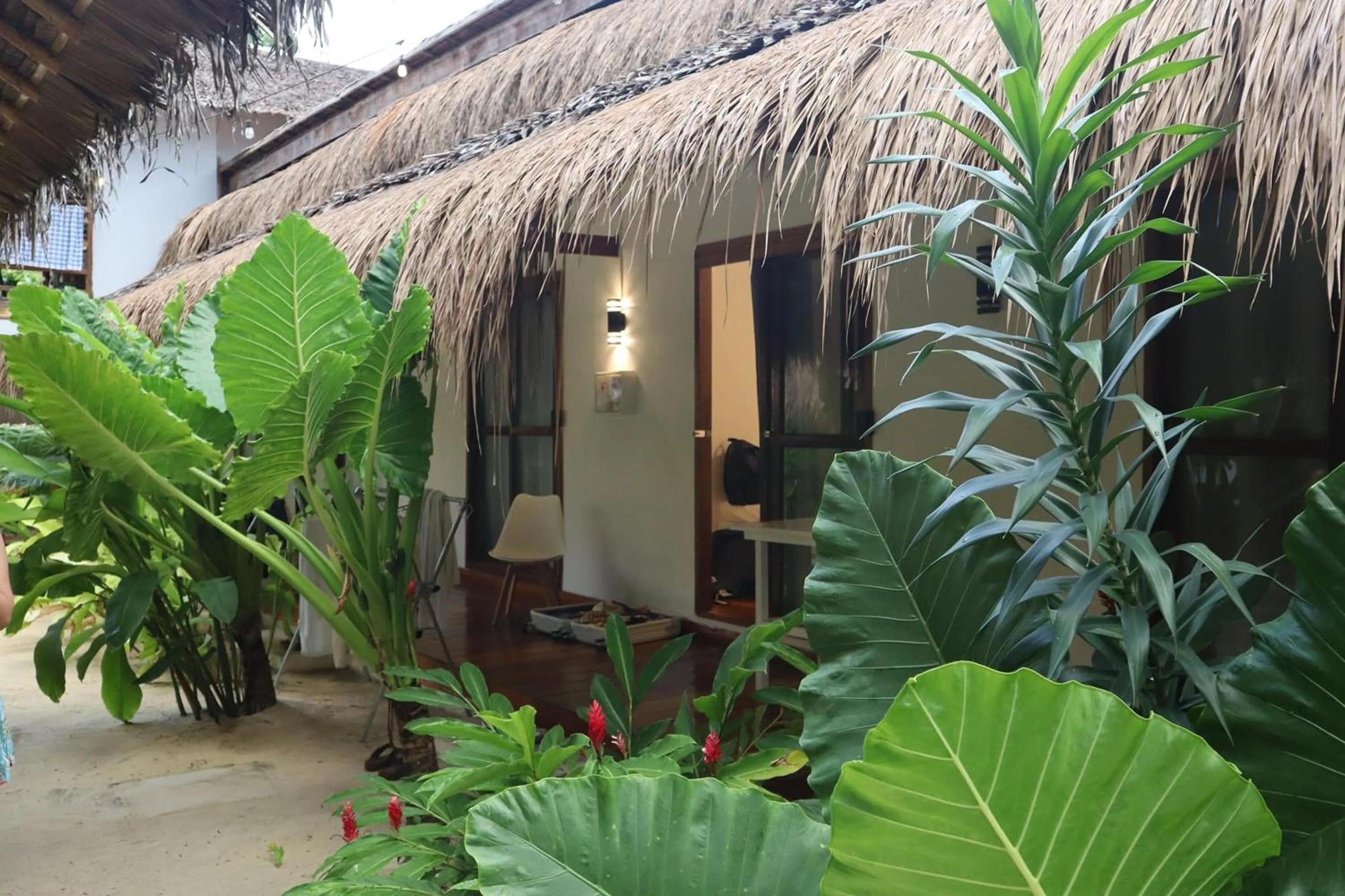 Property building in Mazawa Siargao