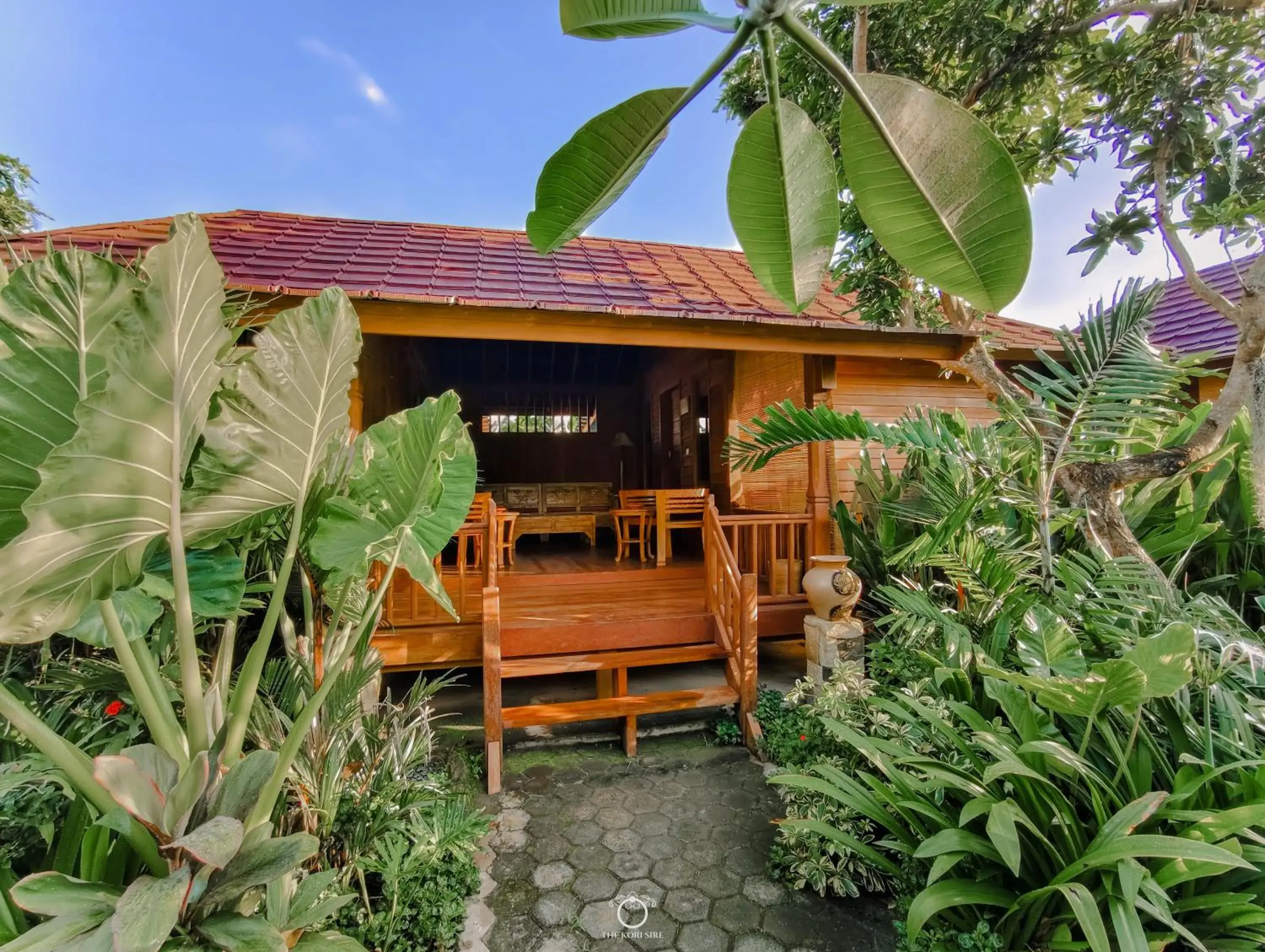 The Kori Sire The Kori Sire