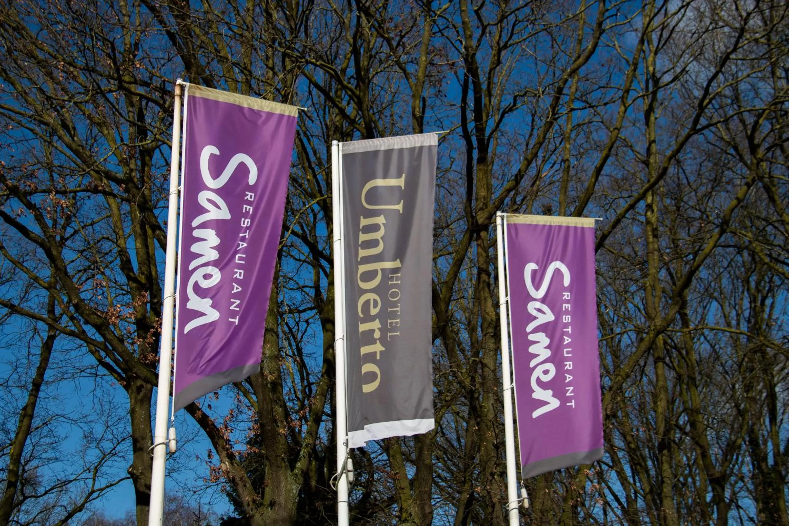 Balcony/Terrace in Hotel Umberto